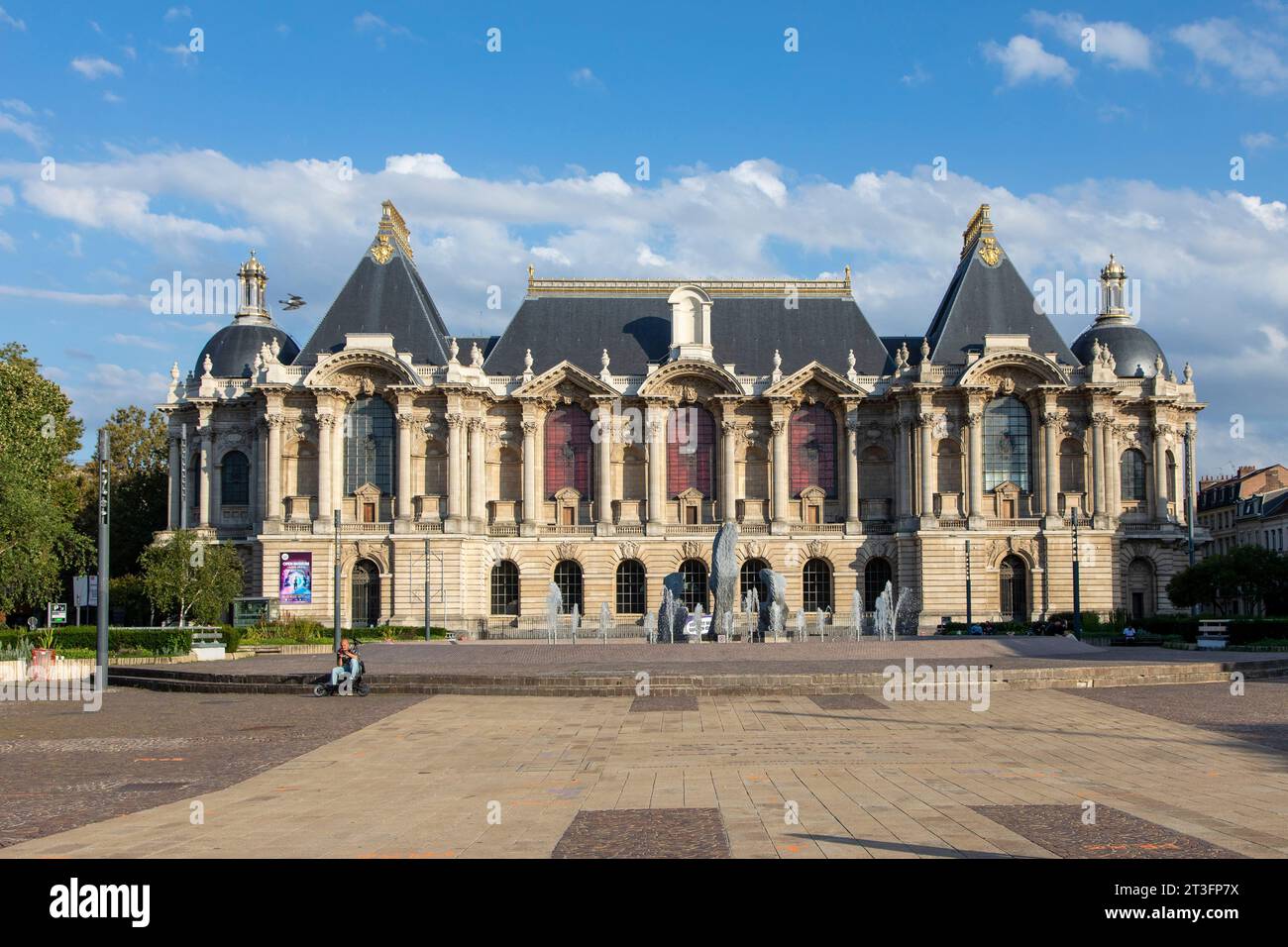France, Nord, Lille, Place de la Republique, Palace of Fine Arts Stock Photo