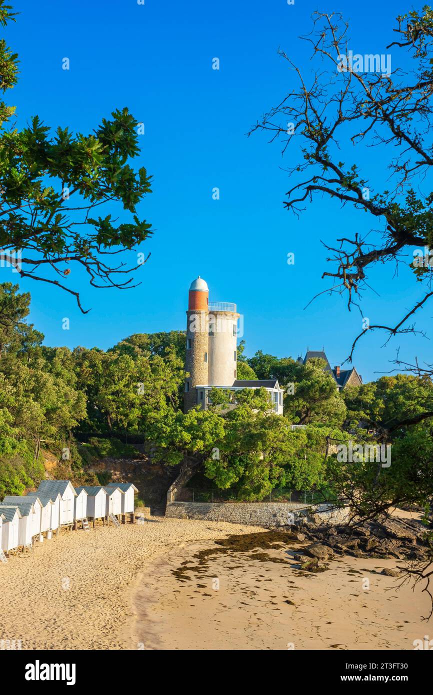 France, Vendee, Noirmoutier island, Noirmoutier en l'Ile, Bois de la ...