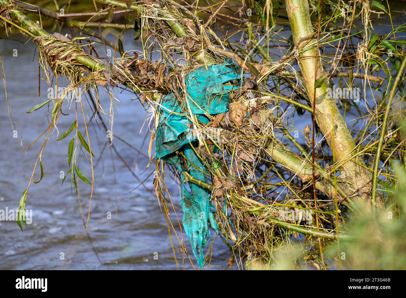 Plastic rubbish caught in the vegitation next to a stream that has recently been in flood. Stock Photo