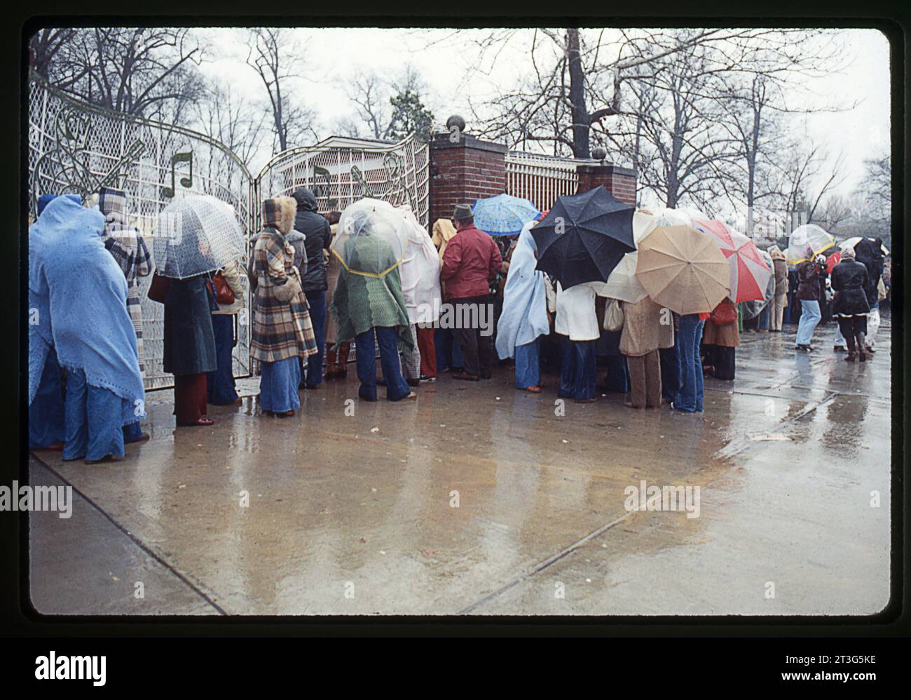 On Jan 8, 1978 a crowd of mostly women wait in the rain to enter Graceland. It was Elvis' first birthday after his death. Stock Photo