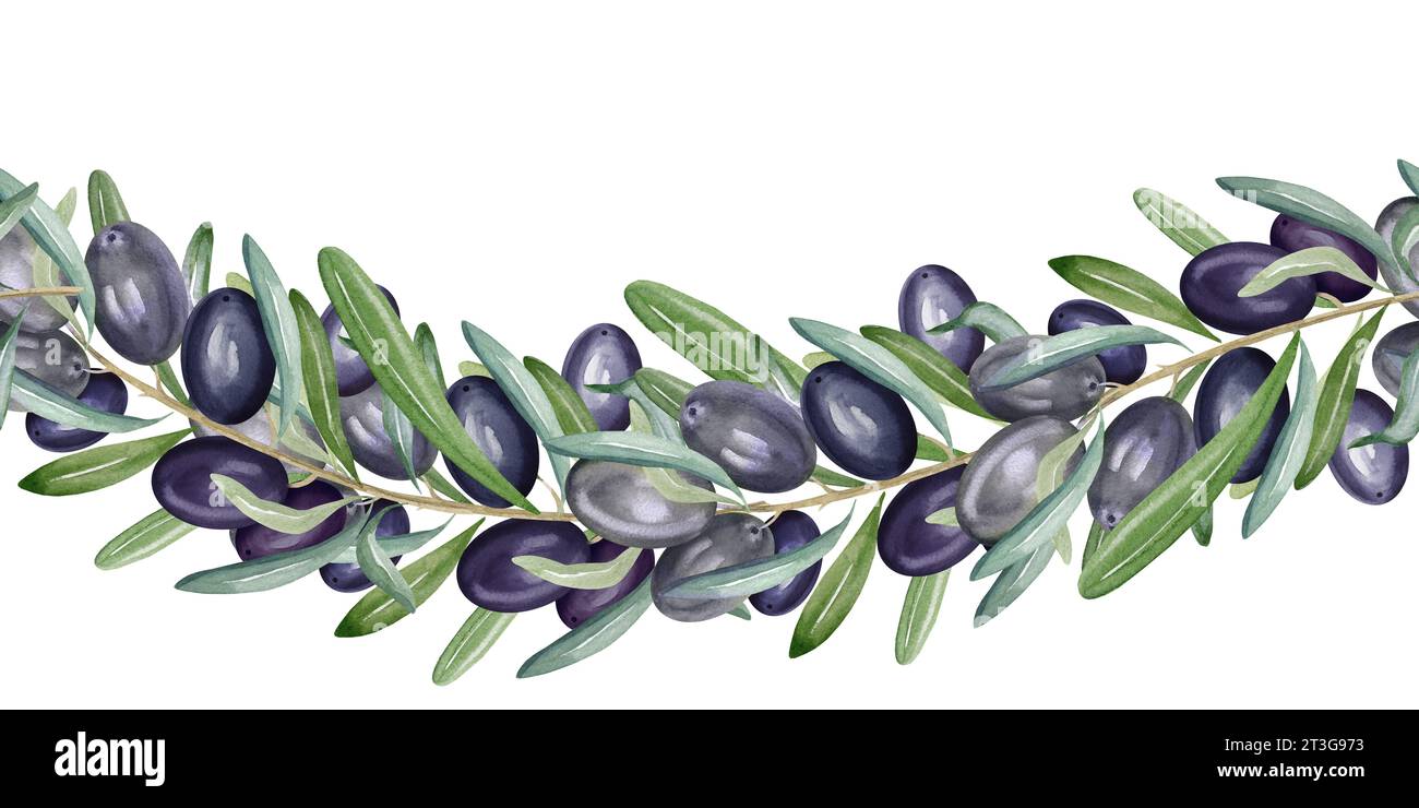 watercolor seamless border with branch of black olives with leaves and ...