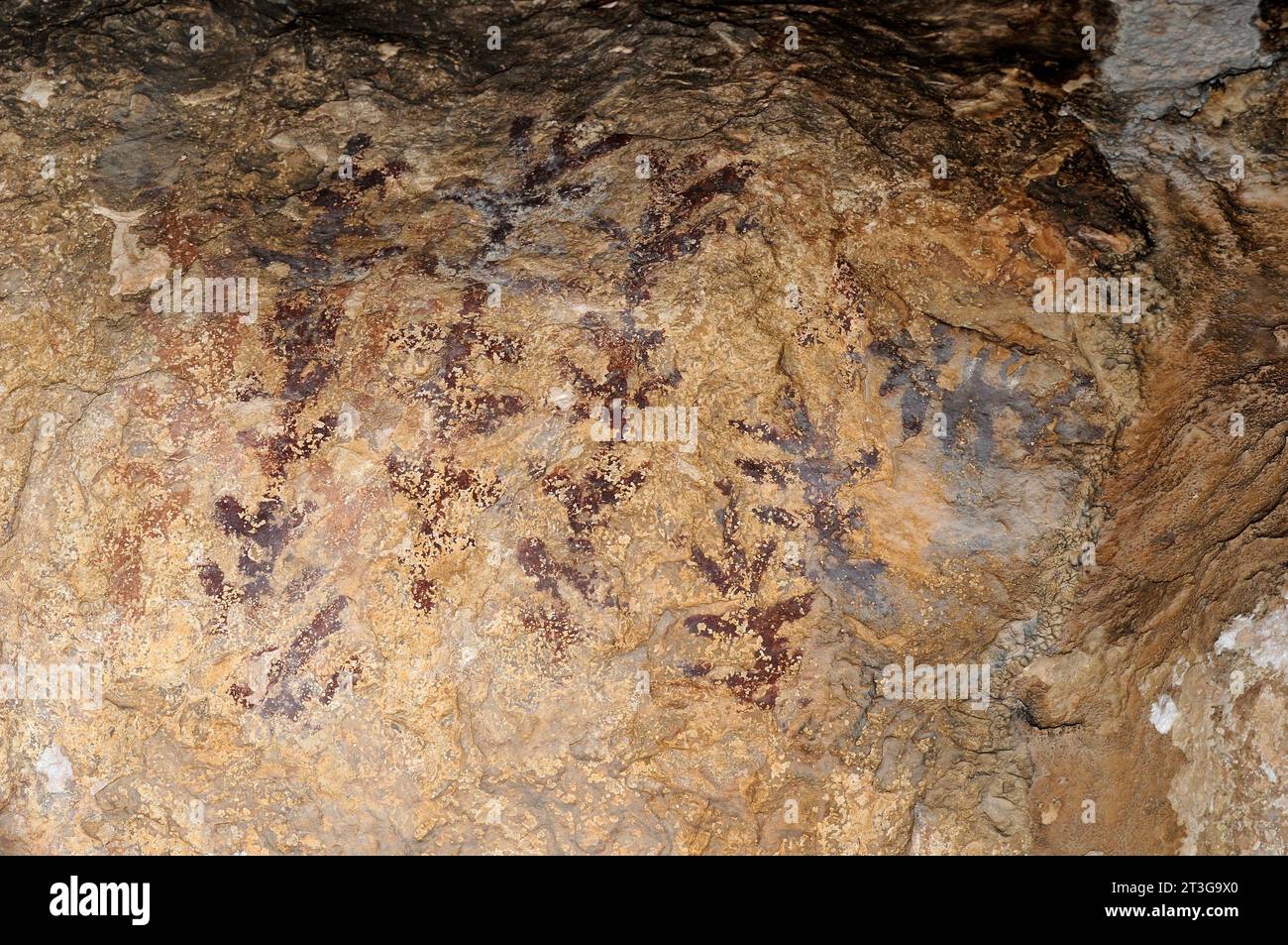 Tozal de Mallata, cave paintings. Asque, Colungo municipality, Sierra y Cañones de Guara Natural Park, Huesca province, Aragon, Spain. Stock Photo