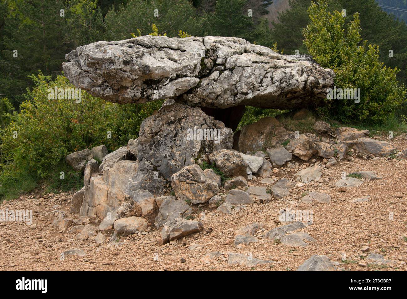 Tella dolmen, Piedra Vasar or Losa la Campa. Tella-Sin, Sobrarbe, Huesca province, Aragon, Spain. Stock Photo