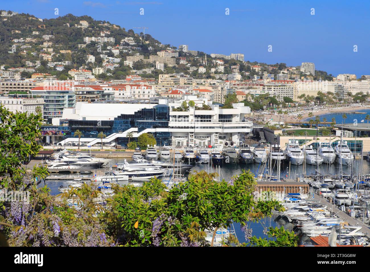 France, Alpes Maritimes, Cannes, view from Le Suquet on the Old Port, its moored boats, the Palais des festivals et des Congres Stock Photo