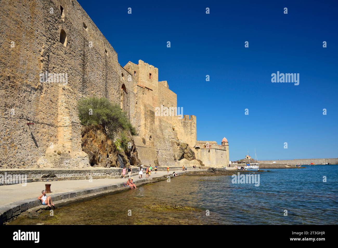 France, Pyrenees Orientales, Côte Vermeille, Collioure, royal castle, downtown and the church of Our Lady of the Angels Stock Photo