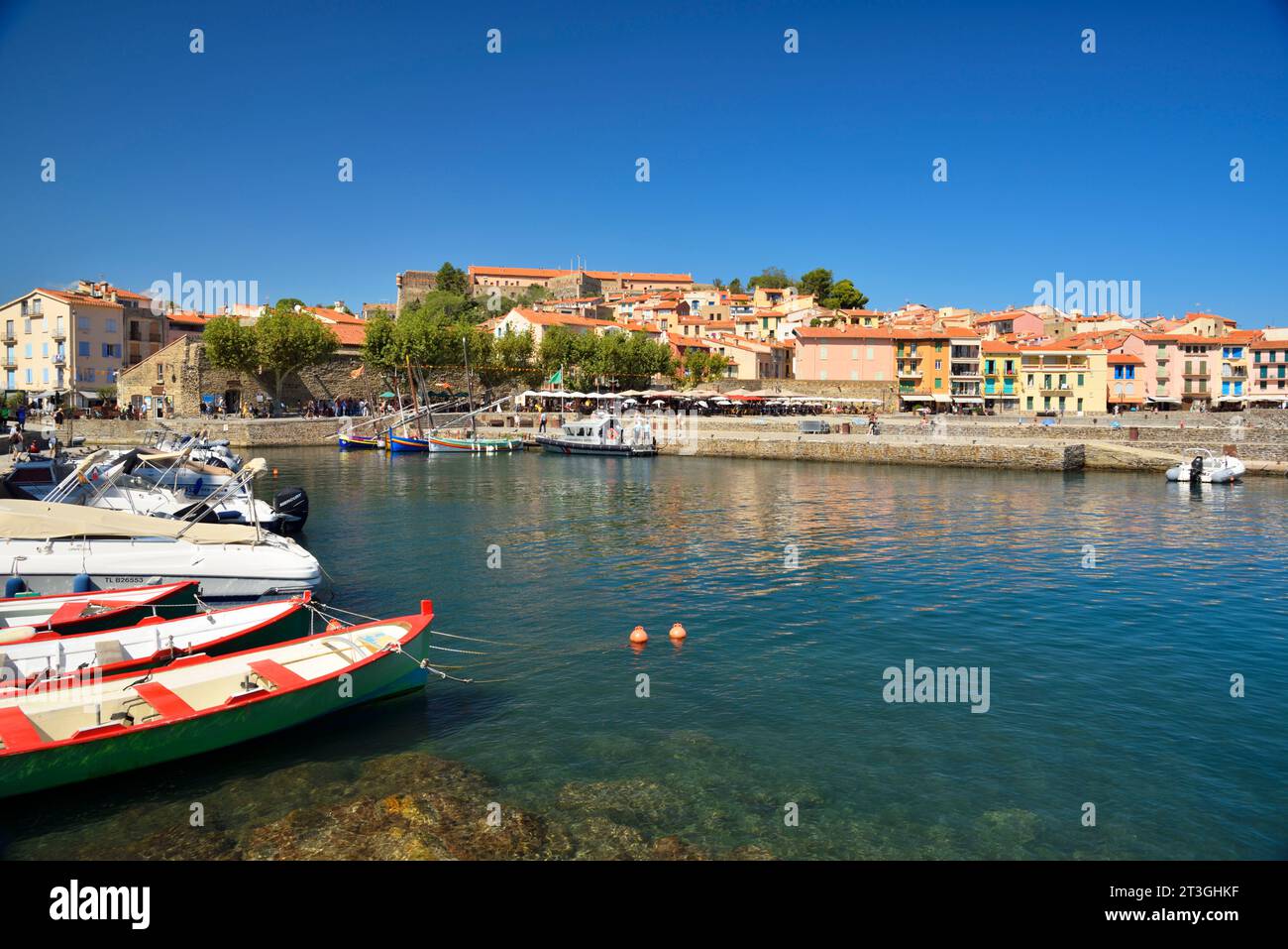 France, Pyrenees Orientales, Côte Vermeille, Collioure, old port and Collioure downtown Stock Photo