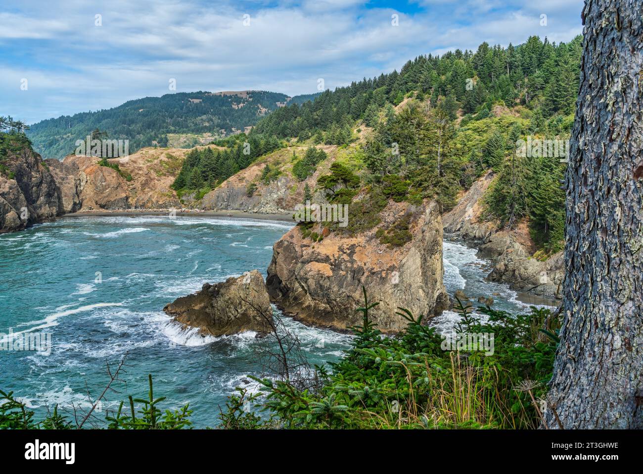 A view of the scenic shoreline near Arch Rock State Park in Oregon ...