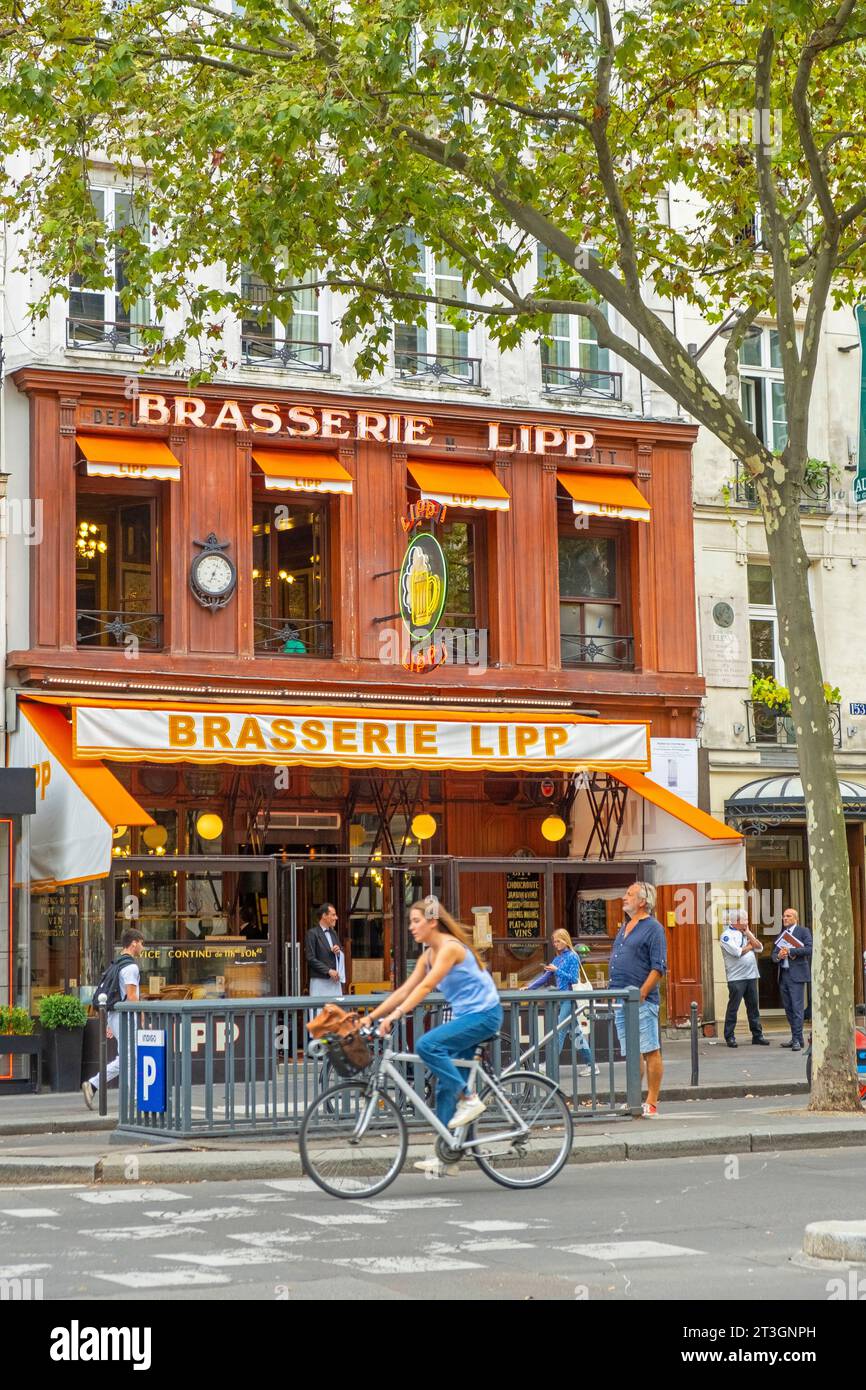 France, Paris, Saint Germain des Pres, the Lipp brewery Stock Photo Alamy