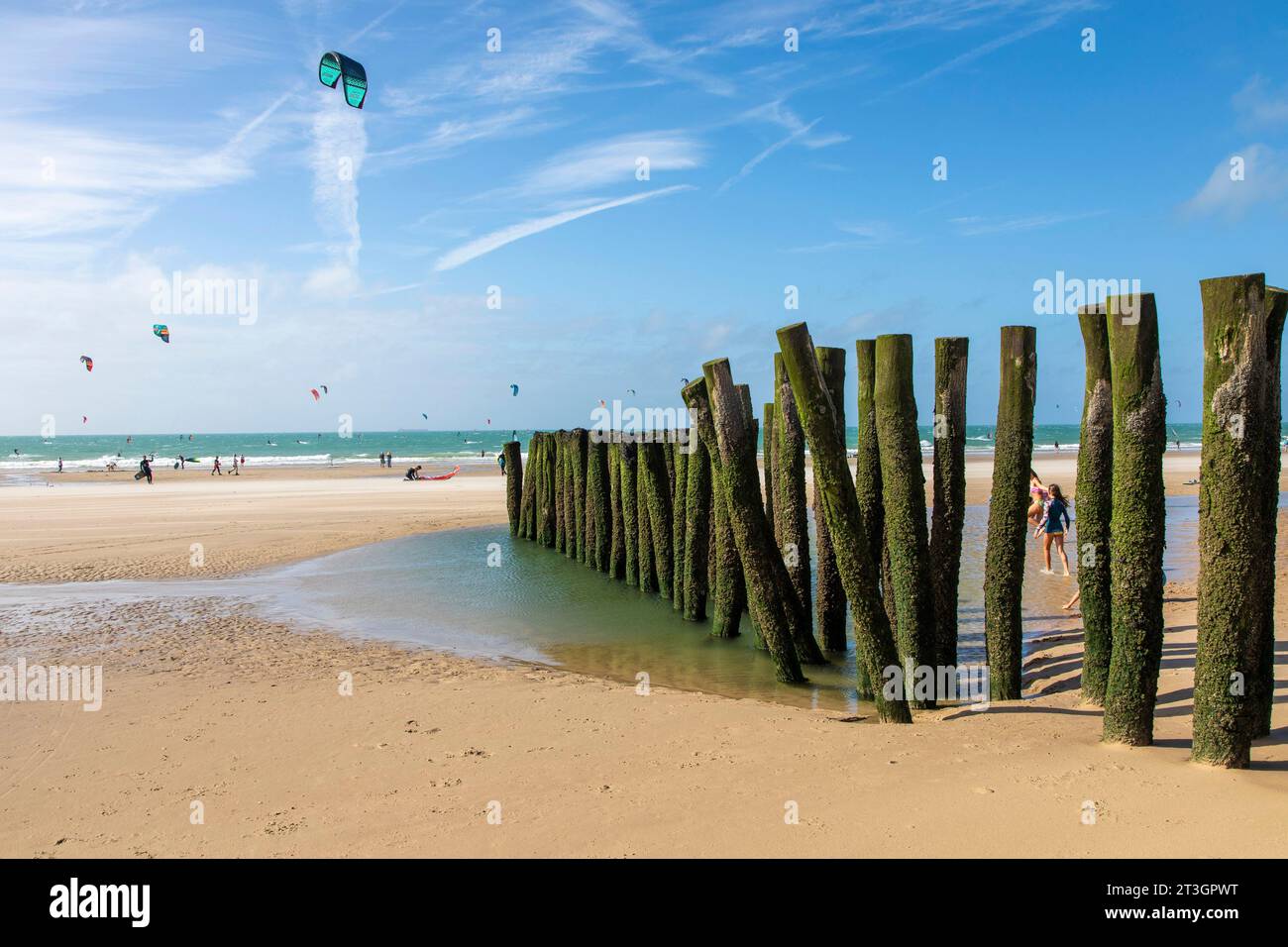 France, Pas de Calais, Wissant, breakwater stakes protect the dune from erosion Stock Photo