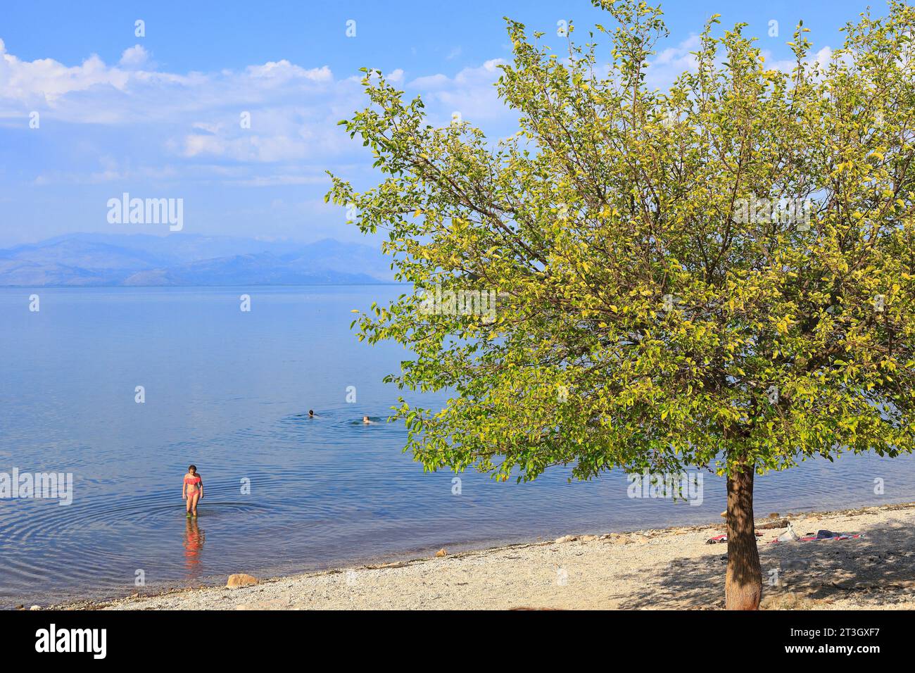 Montenegro, Skadar Lake (Shkodra Lake), Skadar National Park, Donji Murici, Murici beach Stock Photo