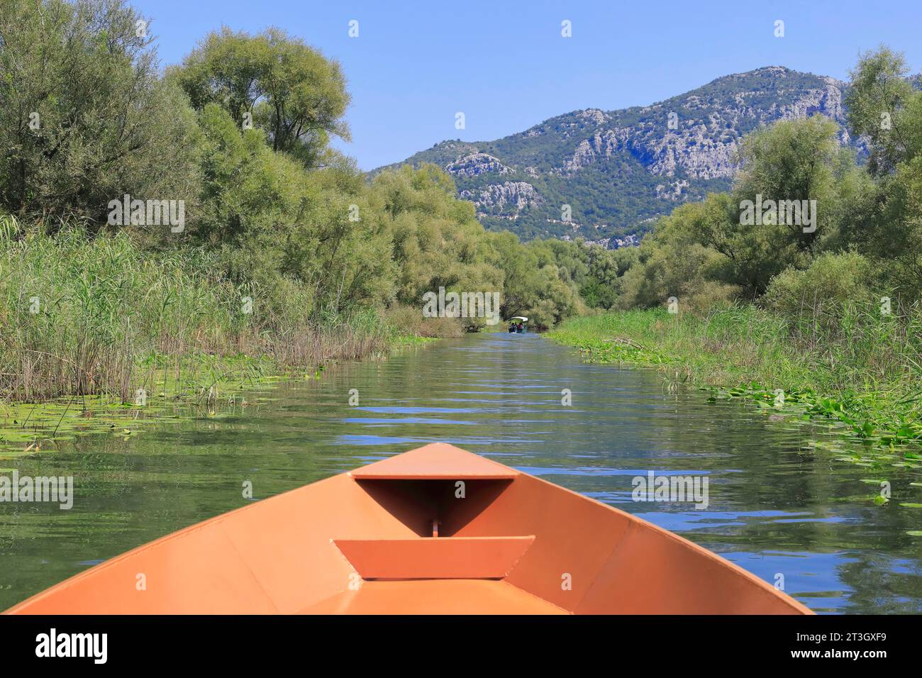 Montenegro, Skadar Lake (Shkodra Lake), Skadar National Park, boat trip Stock Photo