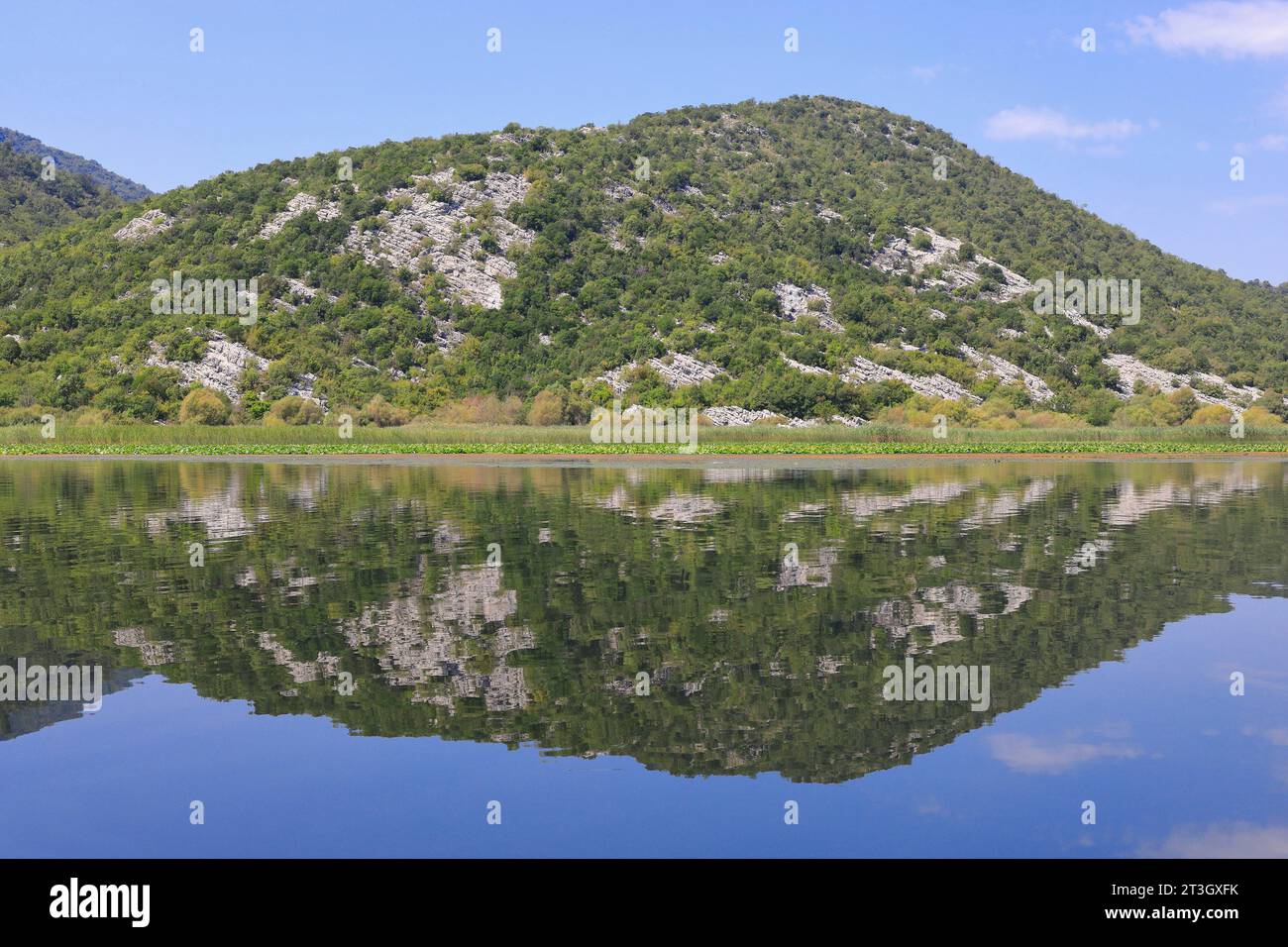 Montenegro, Skadar Lake (Shkodra Lake), Skadar National Park Stock Photo
