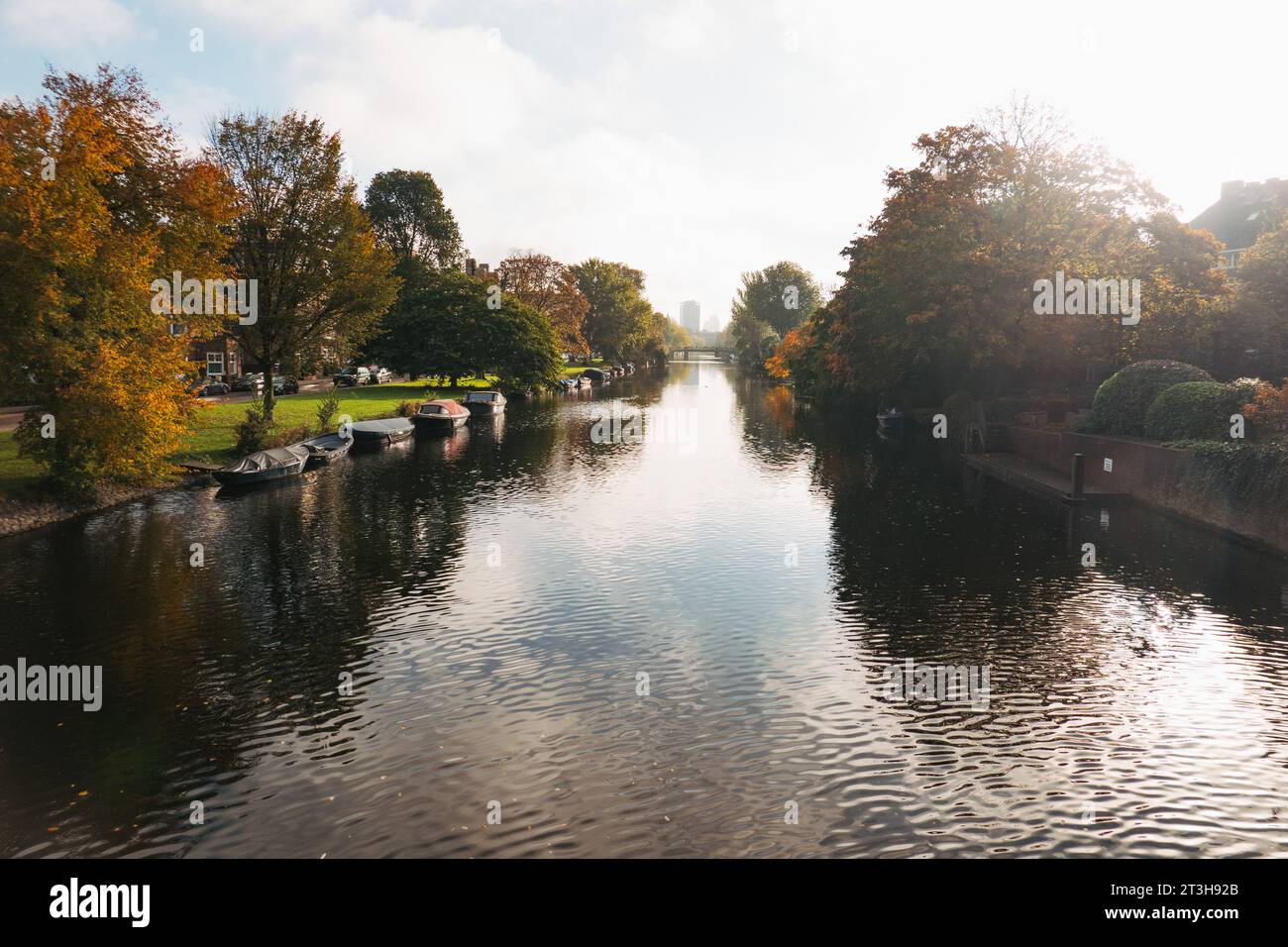 trees line an Amsterdam canal on a autumn morning Stock Photo