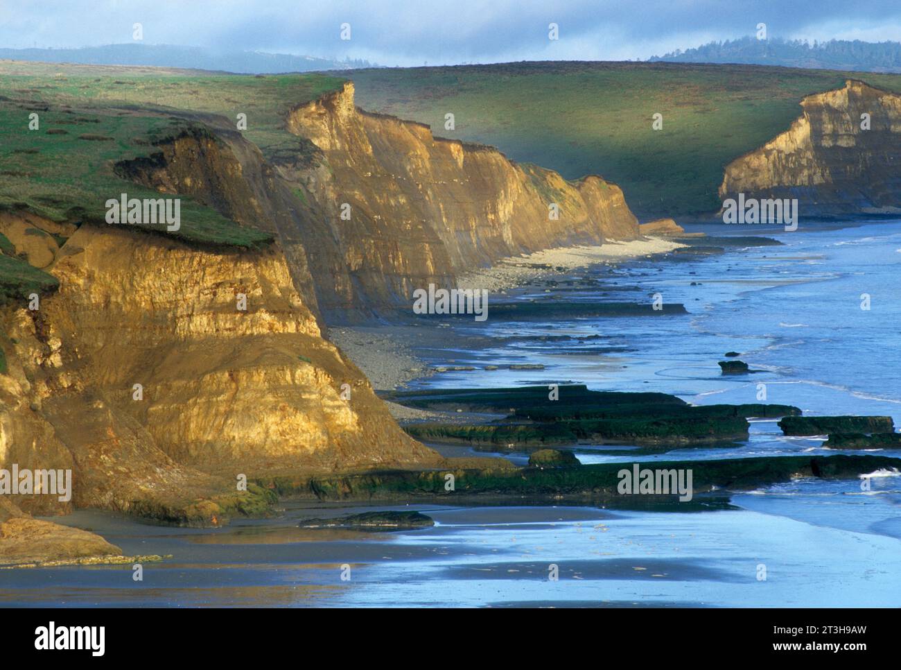 Coastal cliffs from Drakes Beach Overlook, Point Reyes National ...