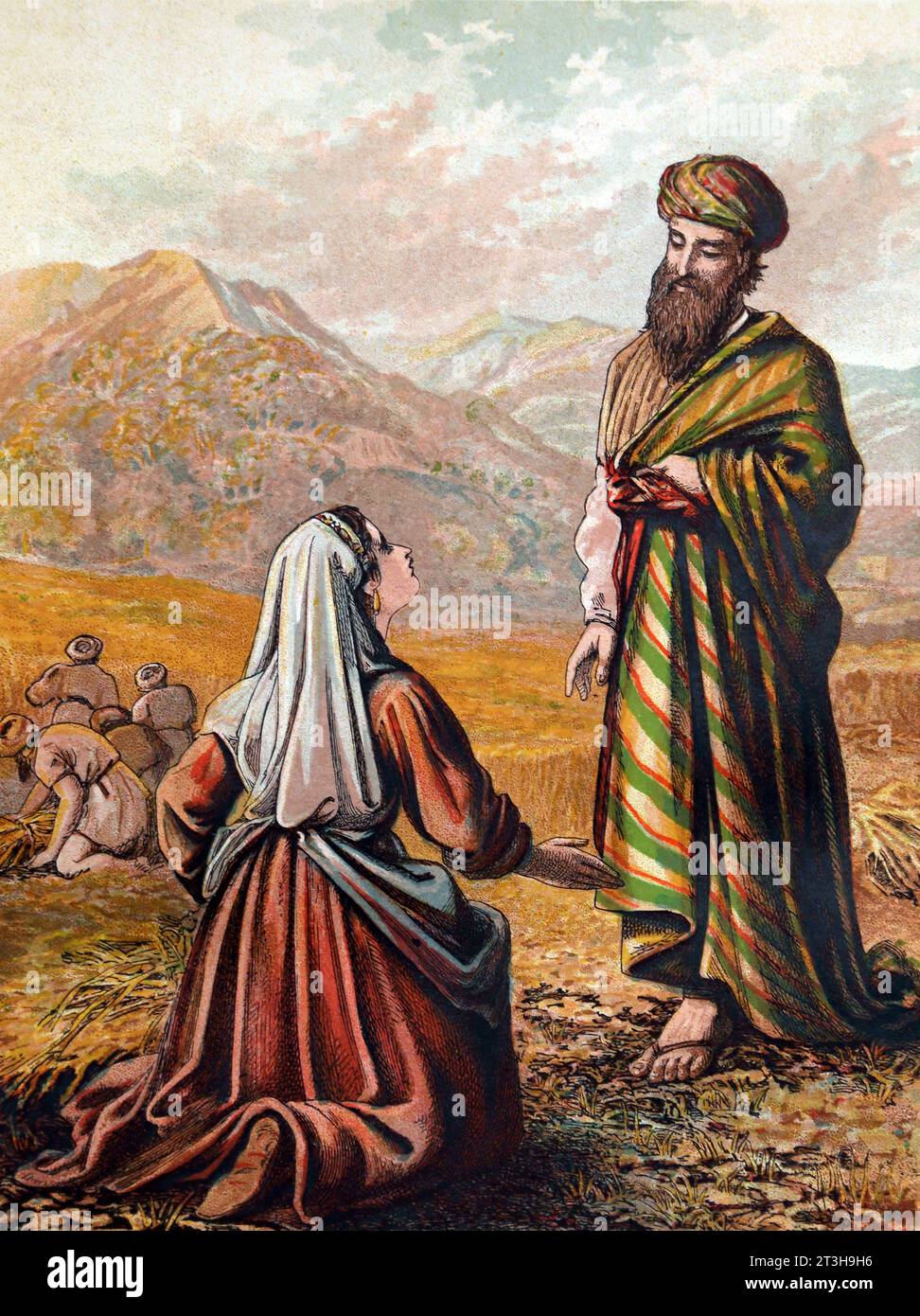 Illustration of Ruth Meeting Boaz in Corn Field Book of Ruth (Ruth II) Old Testament in 19th Century Bible Stock Photo