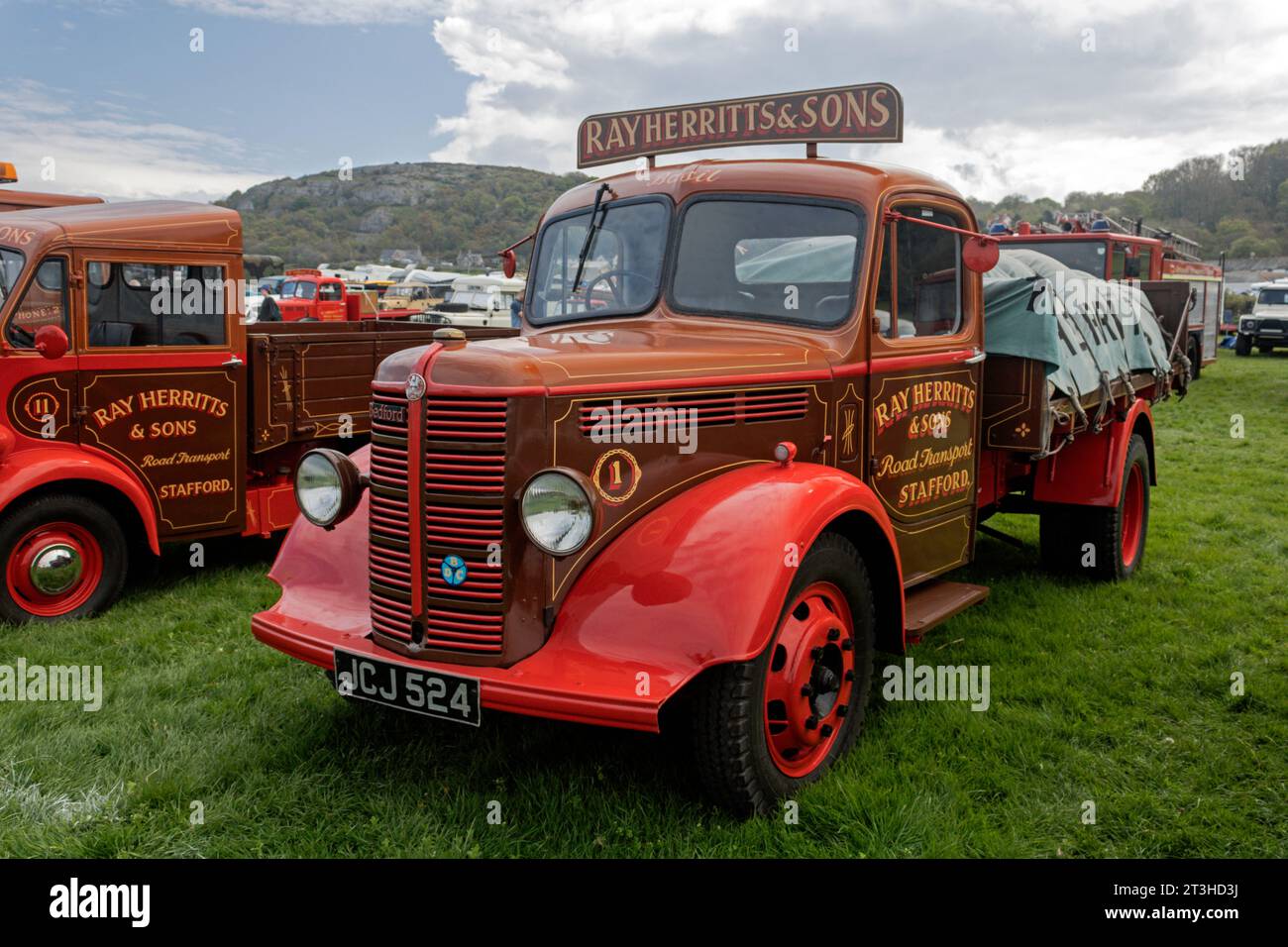 Bedford O Series. Llandudno Transport Festival 2023 Stock Photo Alamy
