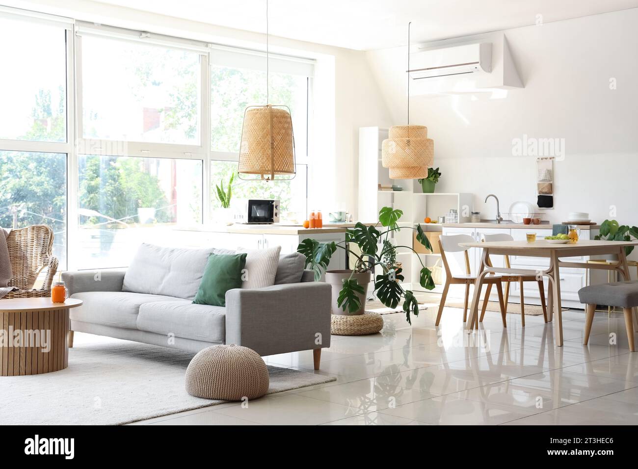 Interior of light kitchen with sofa, dining table and houseplants Stock ...