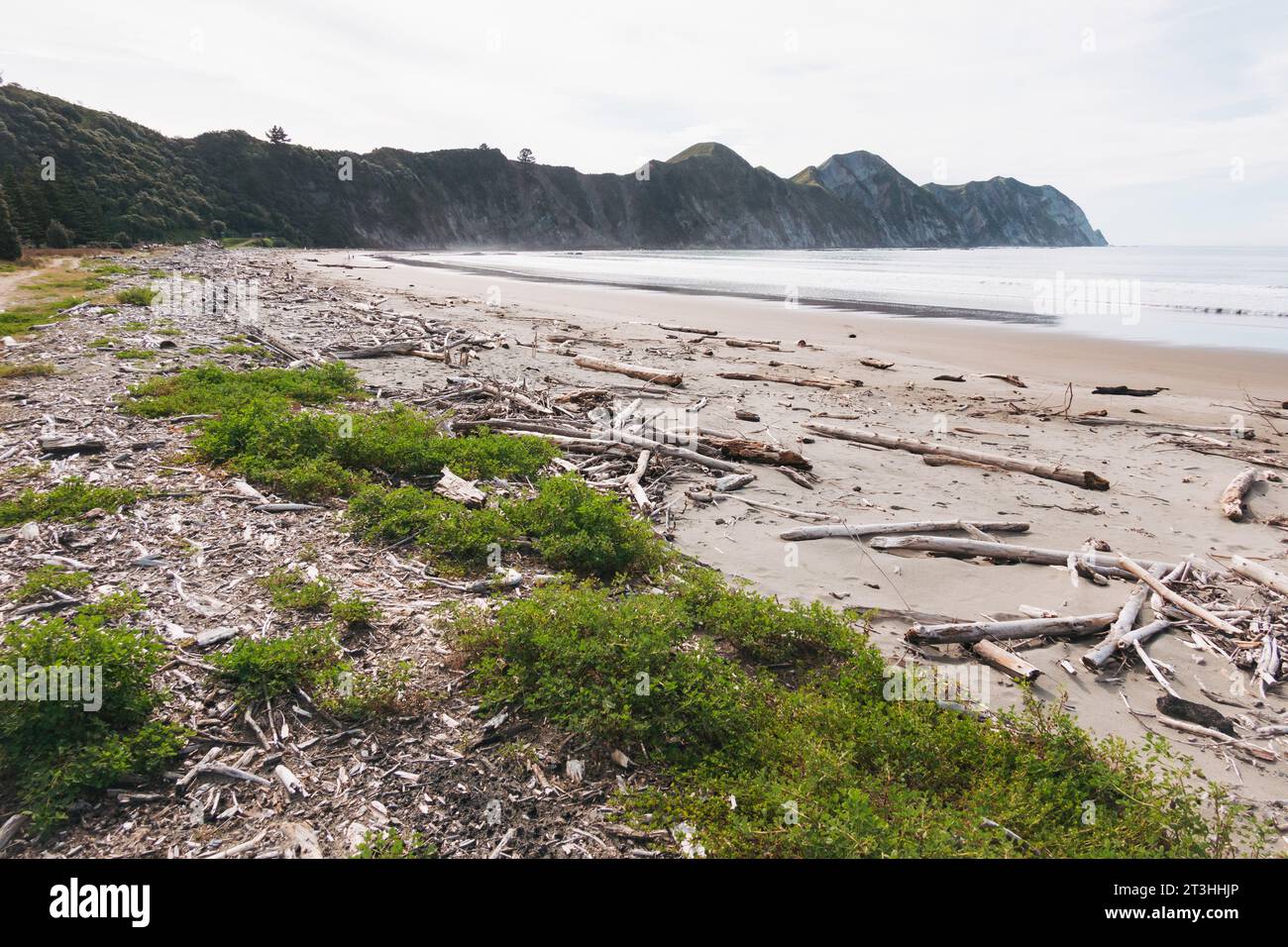 a deserted Tolaga Bay Beach, on the East Coast of New Zealand's North