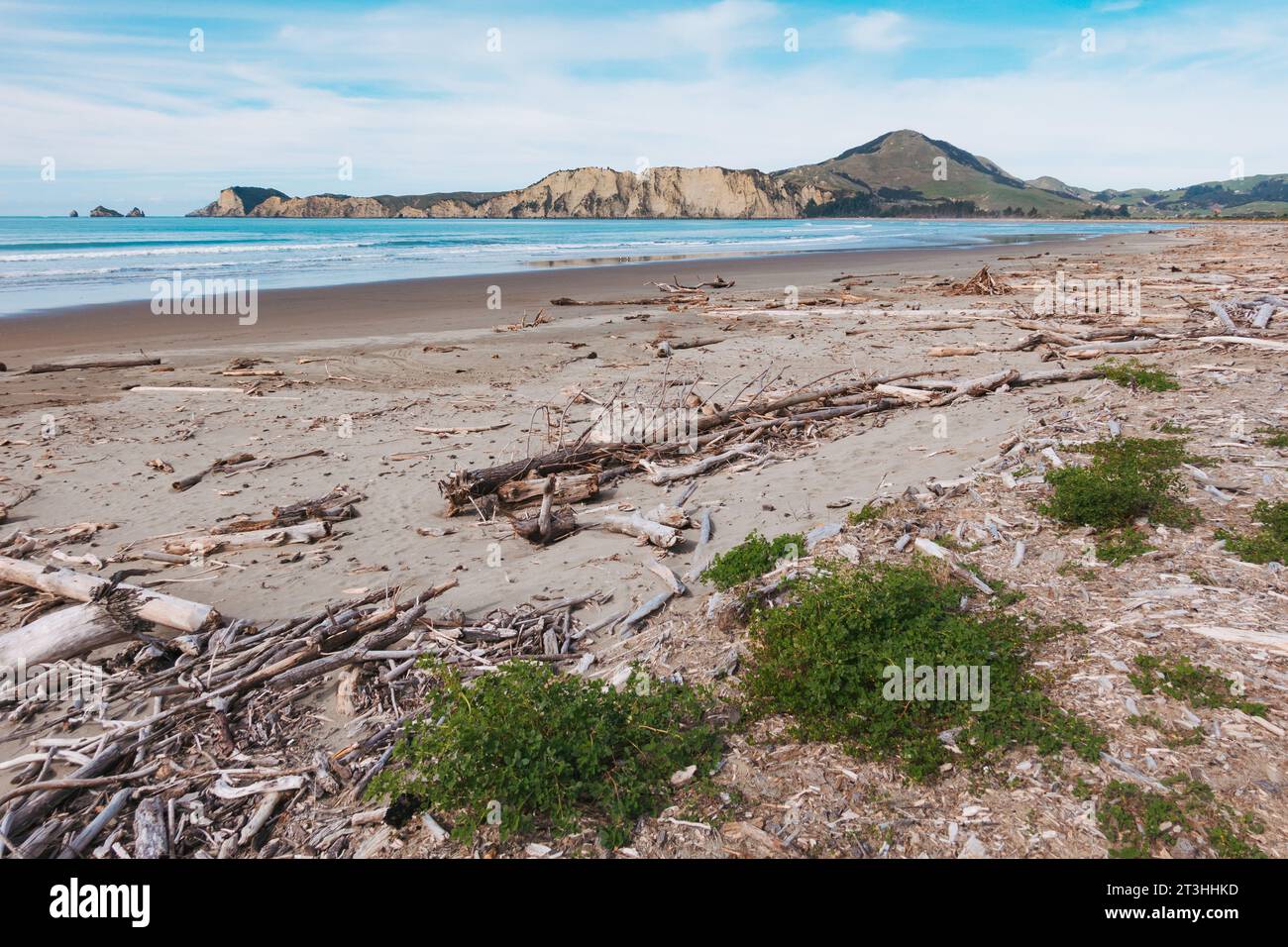 a deserted Tolaga Bay Beach, on the East Coast of New Zealand's North