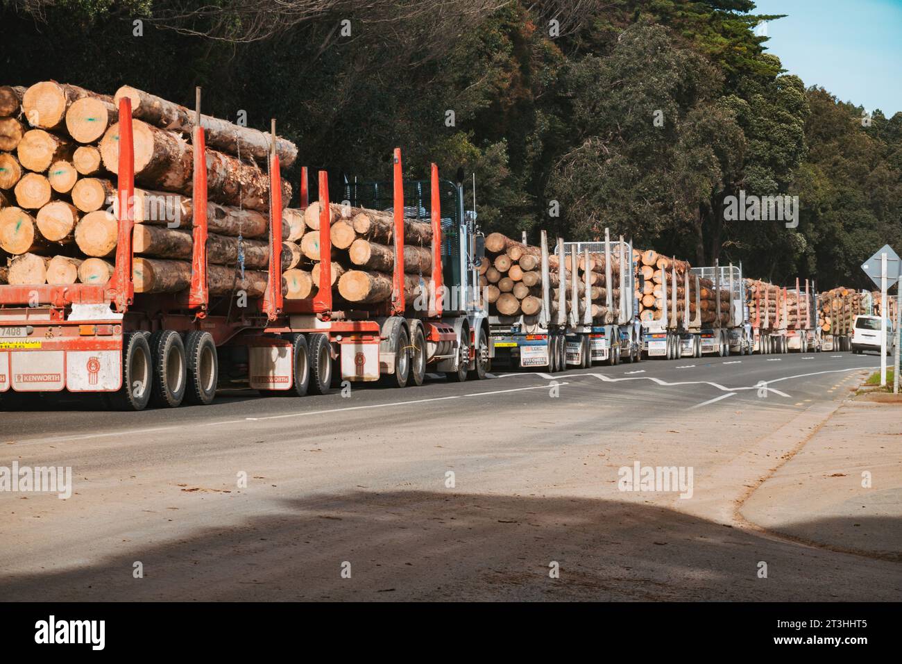 a queue of logging trucks piled with wooden logs, waiting for entry to deliver their cargo at Eastland Port, Gisborne, New Zealand Stock Photo