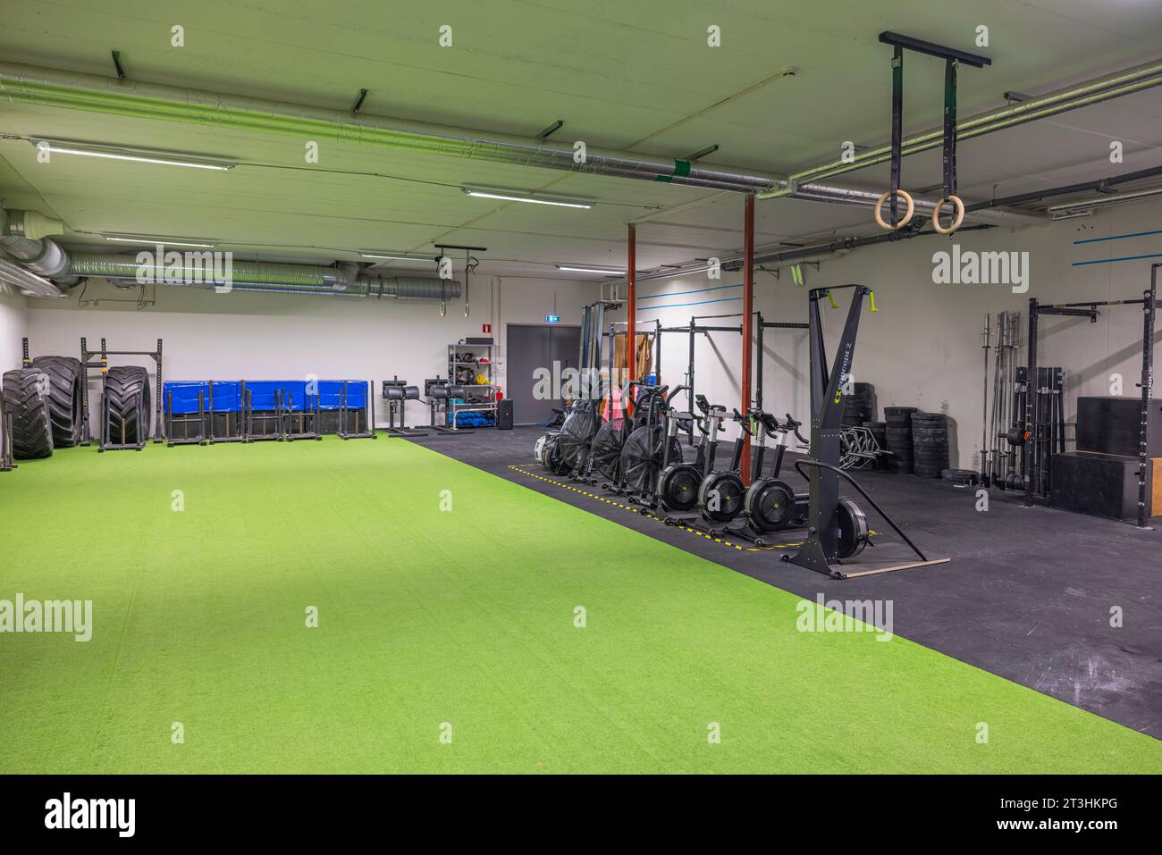 Interior of basement gym equipped with various exercise machines ...