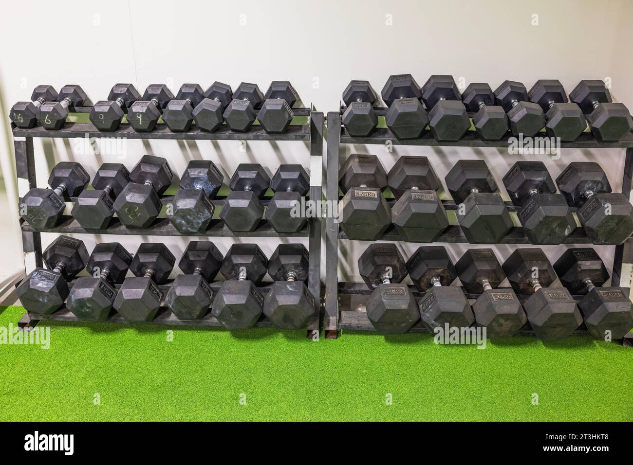 Closeup view of racks with dumbbells of various weight categories for