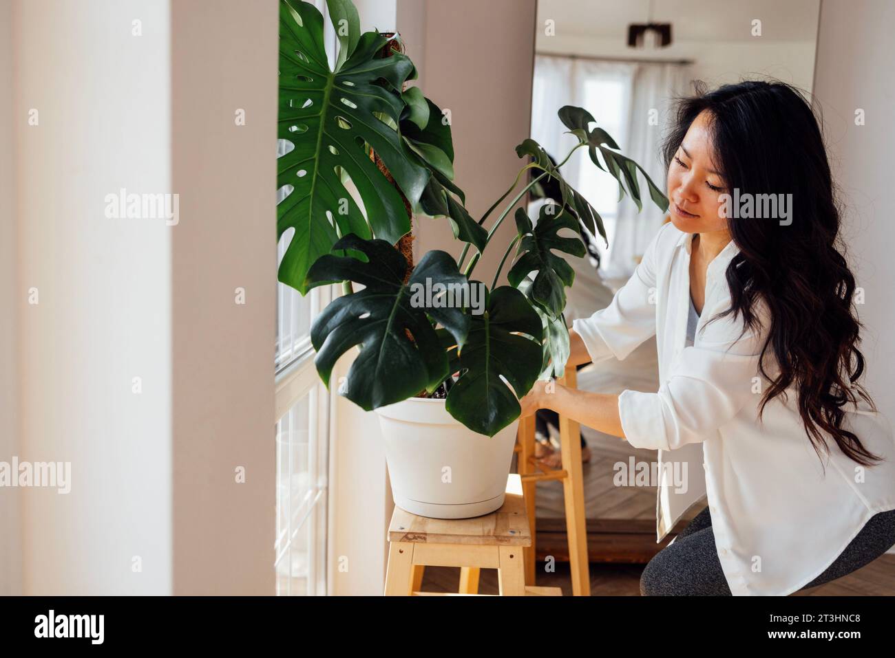 An attractive Asian woman in casual clothes holds a pot with a home ...
