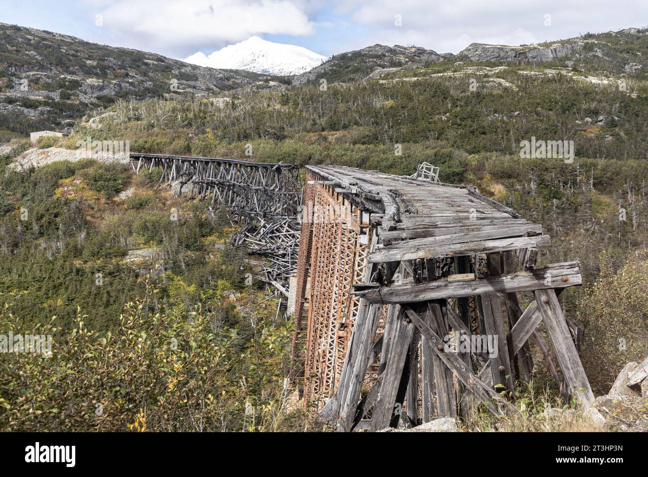 Train Bridge Stock Photo