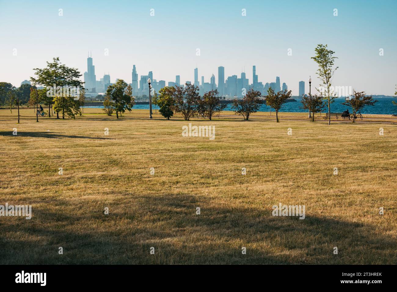 a grassy area with a walking path lined by trees at Burnham Park on the Lakefront Trail in Chicago, United States Stock Photo