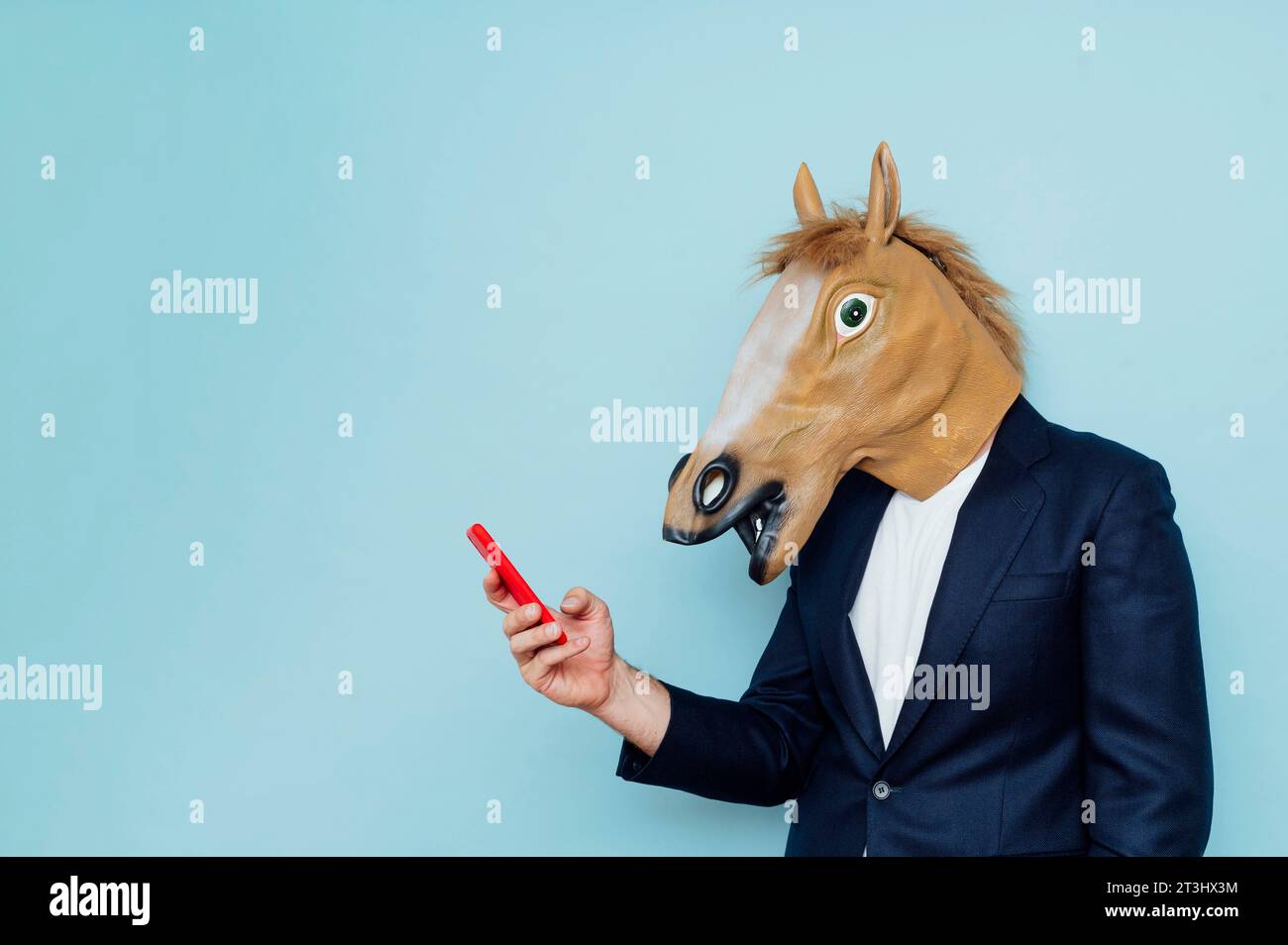 Donkey Using Phone Smart donkey hi-res stock photography and images - Alamy