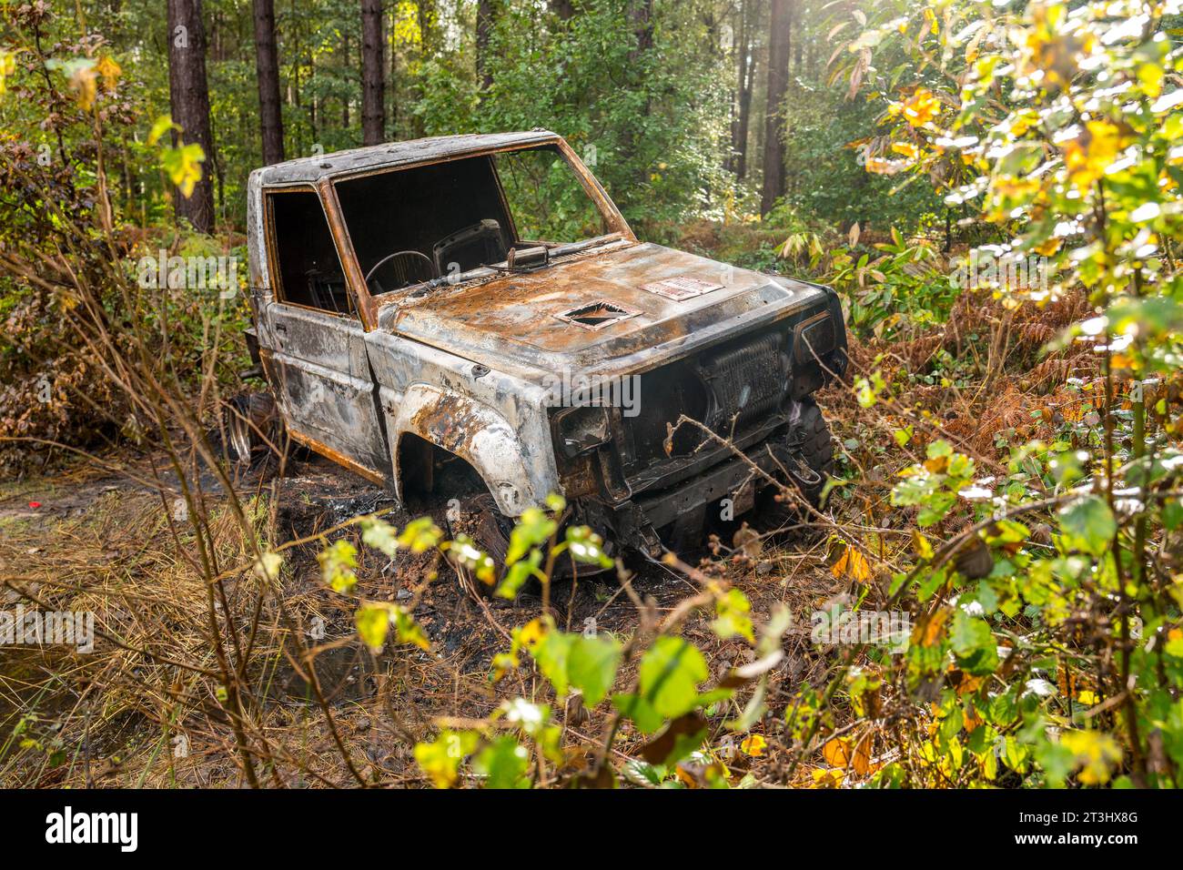 Burnt out vehicle in Sherwood Forest, Nottinghamshire. Stock Photo