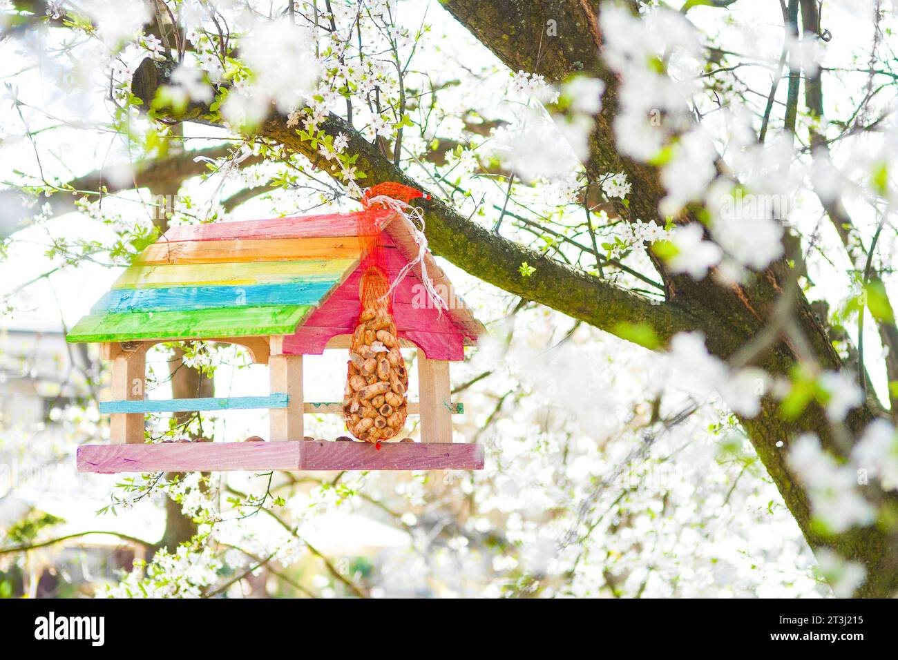 Colorful Bird House Feeder at Spring Stock Photo