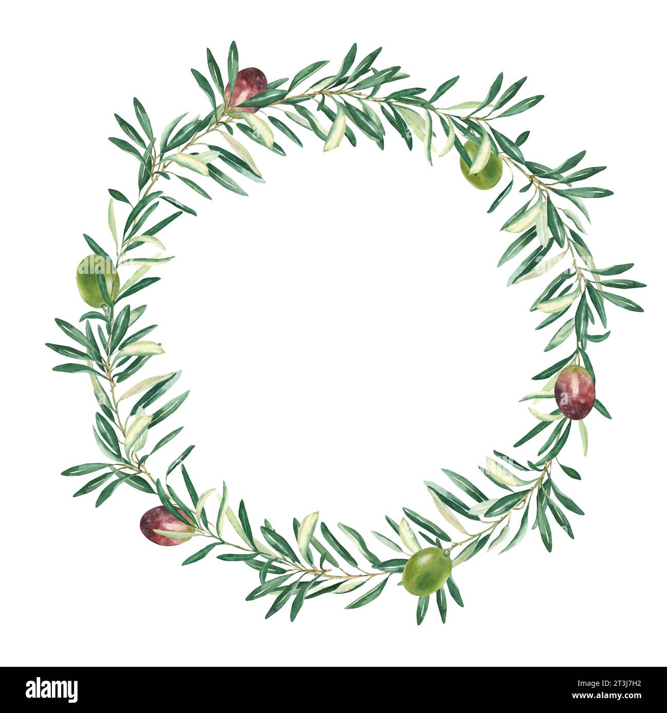 Watercolor olive wreath with green and red olives. Isolated on white ...