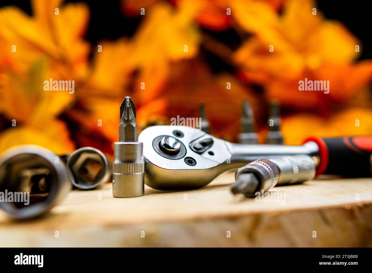 Handyman diy project at home concept torque wrench with Phillips style