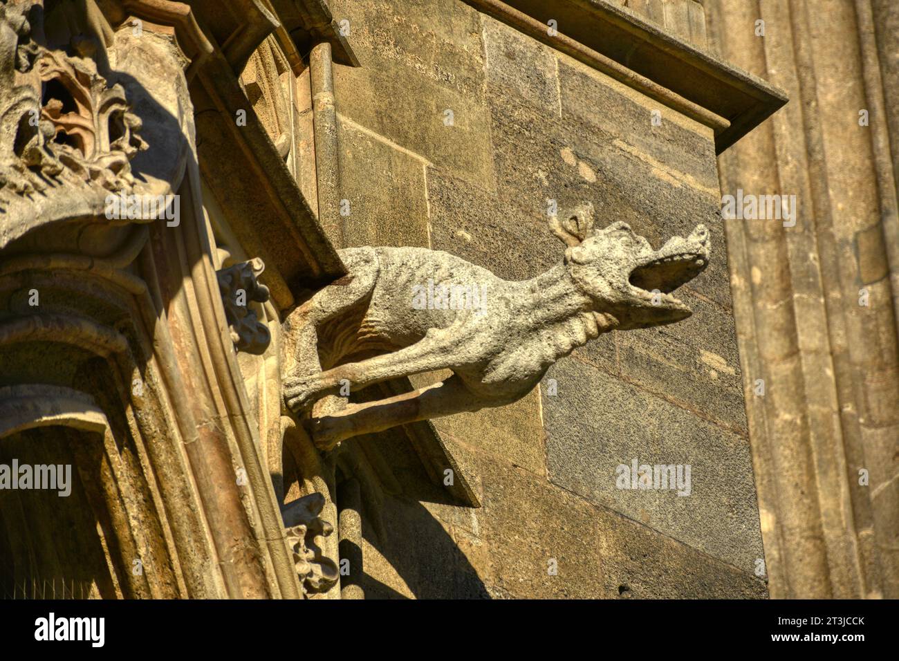 Wien, Stephansdom, Riesentor, romanisch, Portal, Eingang, Österreich ...