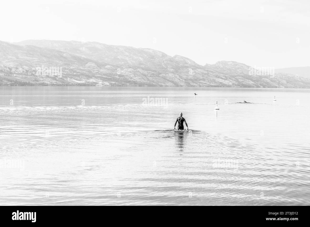 black and white image of an unidentifiable swimmer dressed in a wet suit going into the mountain
