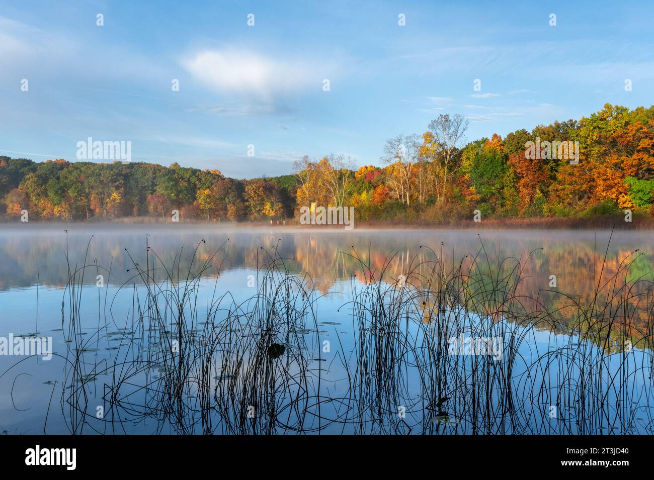 Dickinson Lake, Seven Lakes State Park, near Holly, Michigan. Stock Photo