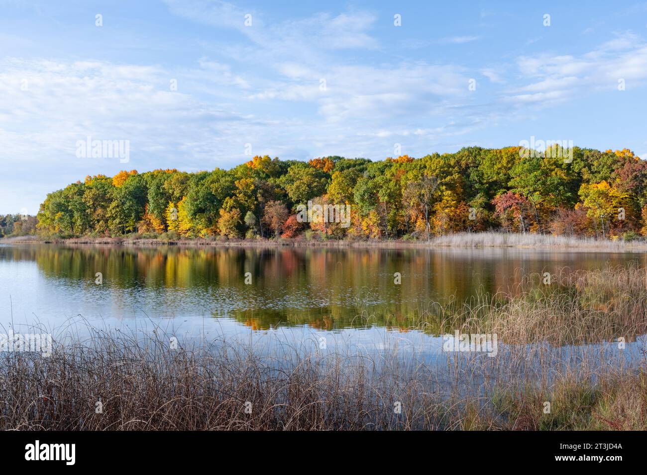 Dickinson Lake, Seven Lakes State Park, near Holly, Michigan. Stock Photo