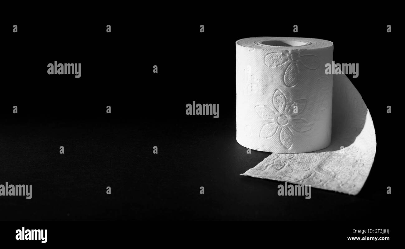 copy-space-toilet-paper-roll-stock-photo-alamy