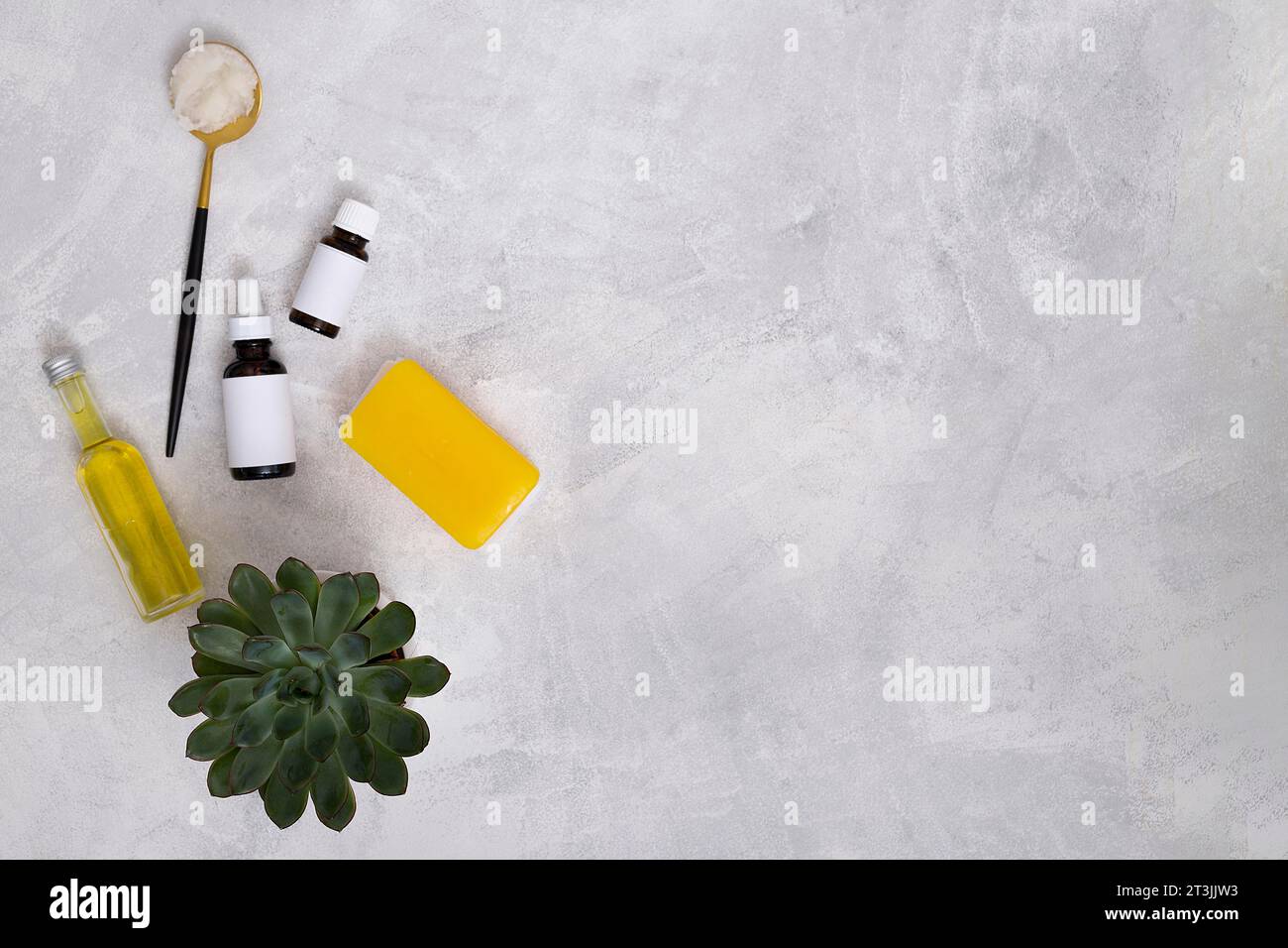 Essential oil bottles cotton yellow soap cactus plant concrete backdrop writing text Stock Photo