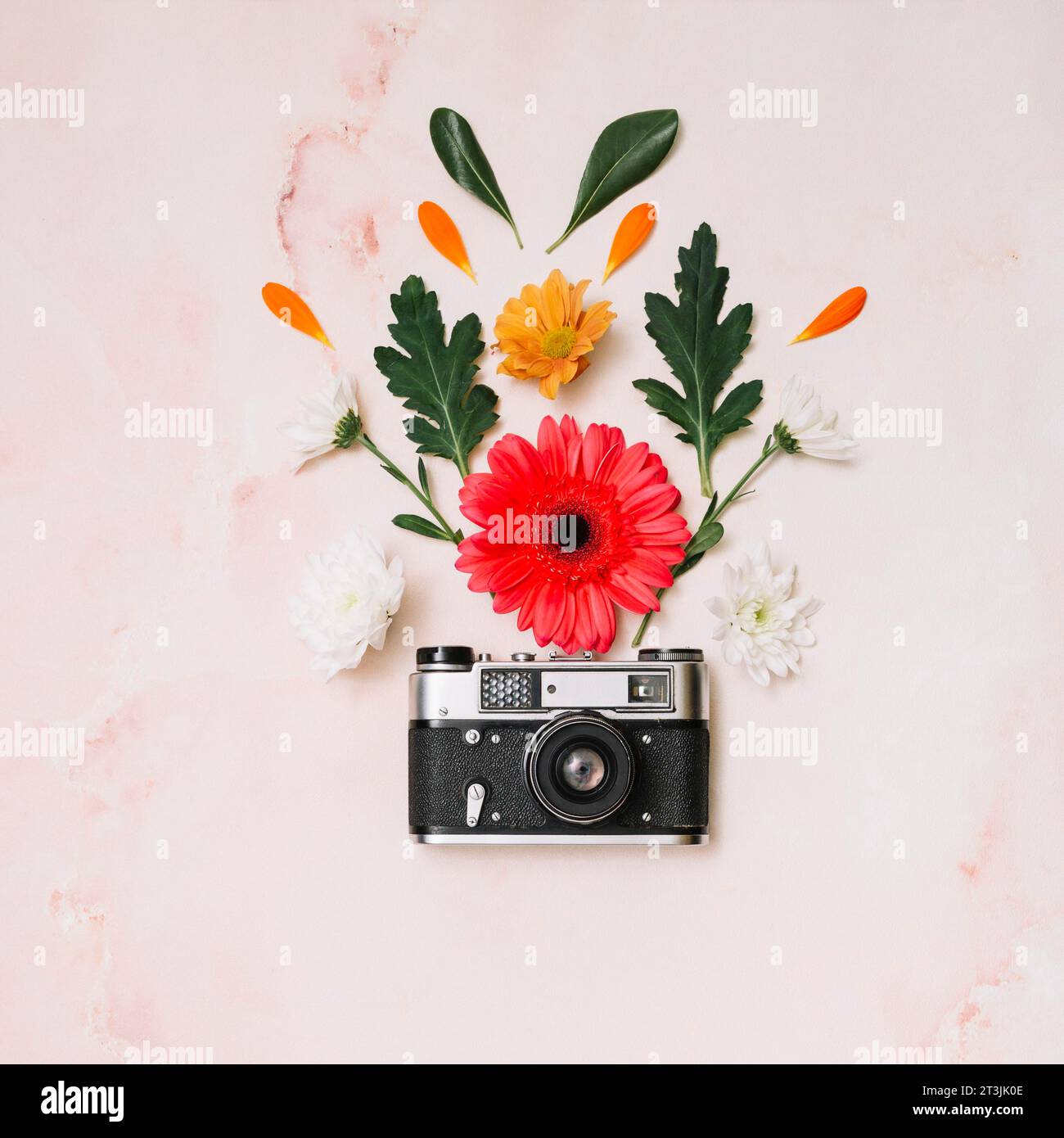 Flowers buds with camera table Stock Photo