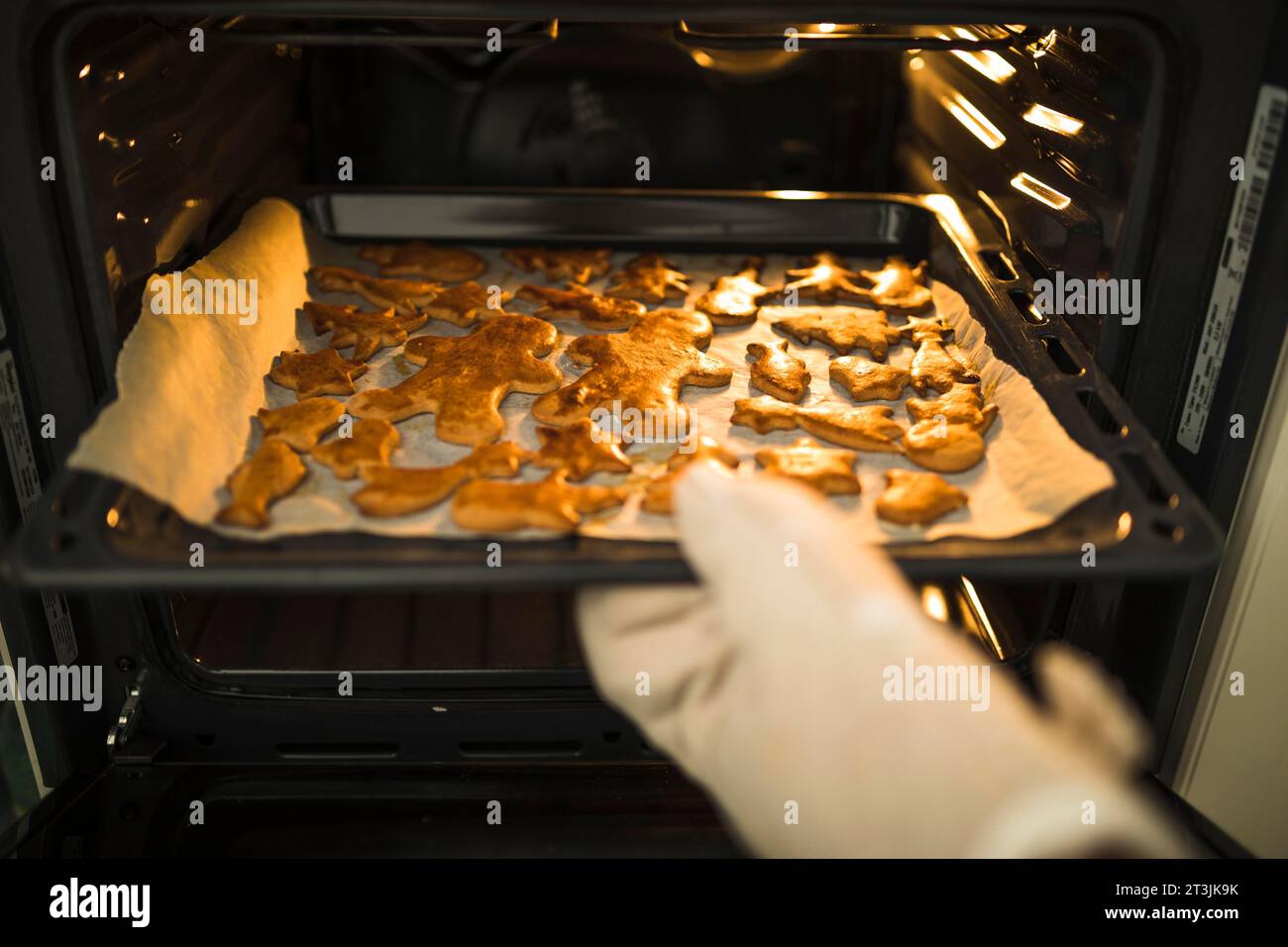 Hand taking dripping pan from oven Stock Photo Alamy