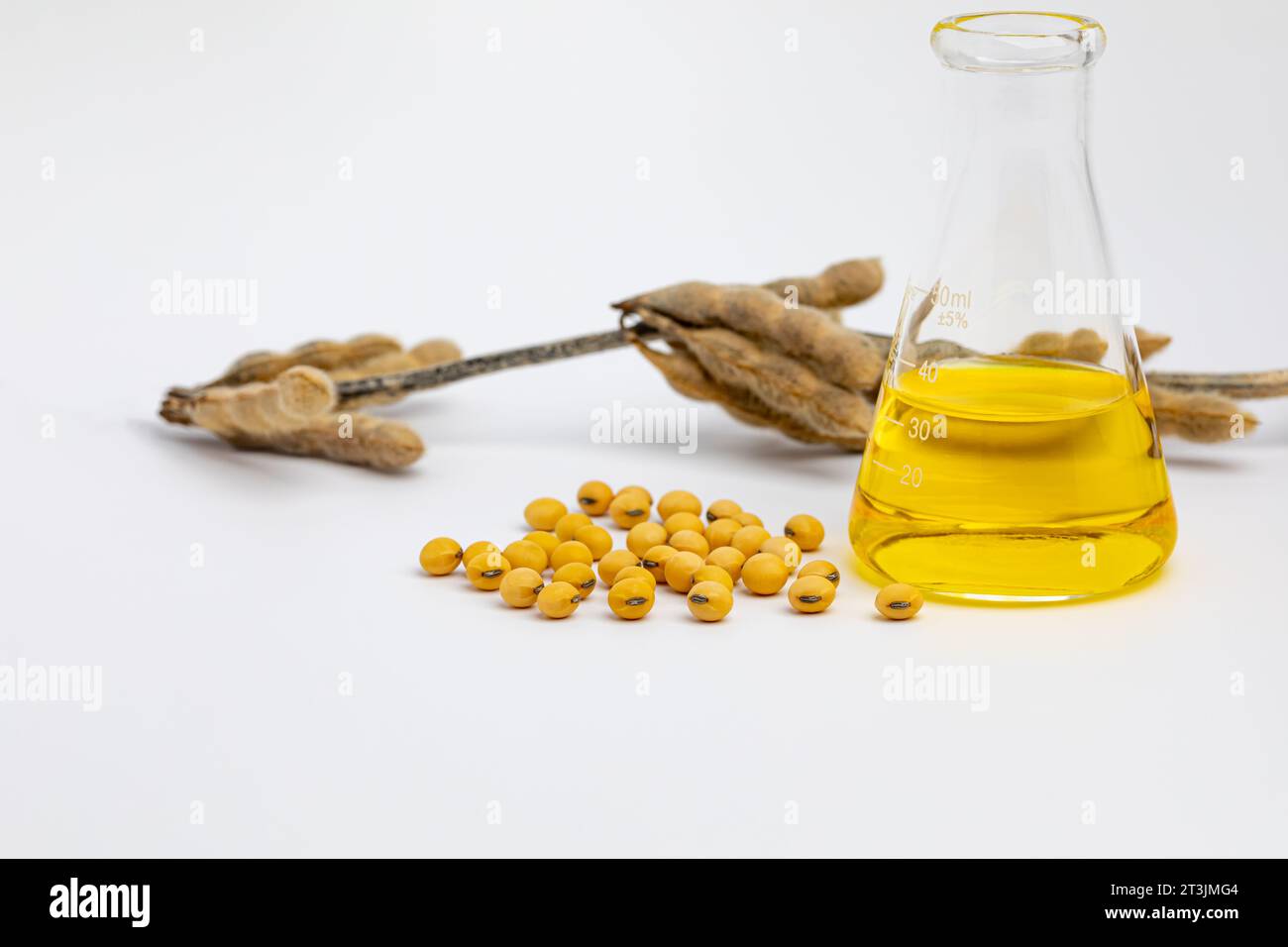 Soybeans with laboratory beaker. modified crops, soy oil