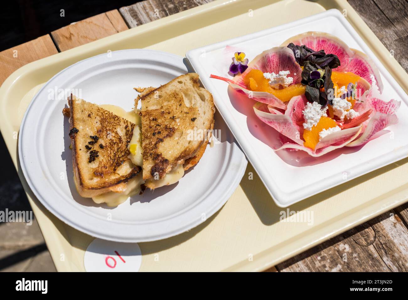 Take away tray with grilled cheese sandwich and watermelon radish salad Stock Photo