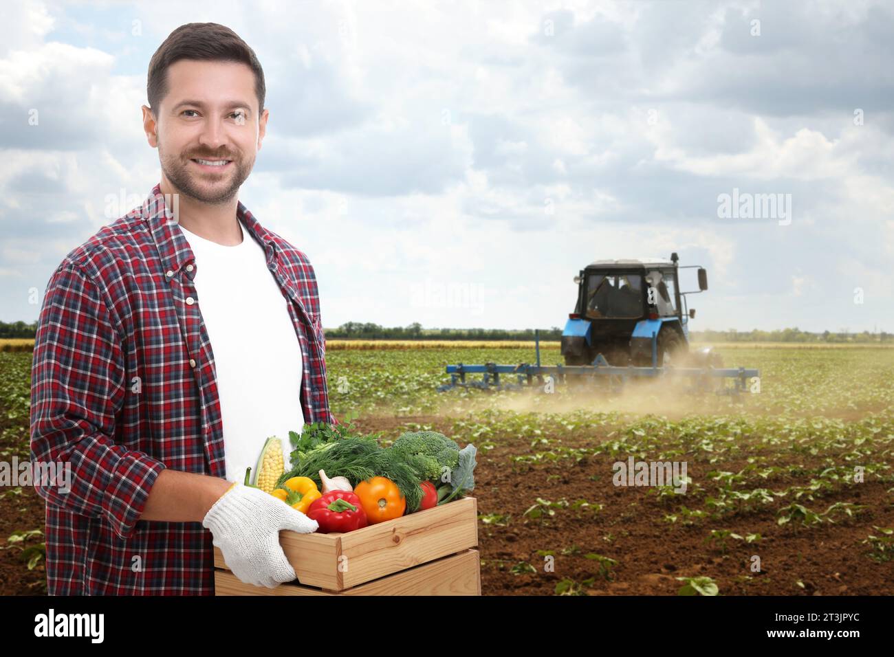 Harvesting season. Farmer holding wooden crate with crop in field Stock ...