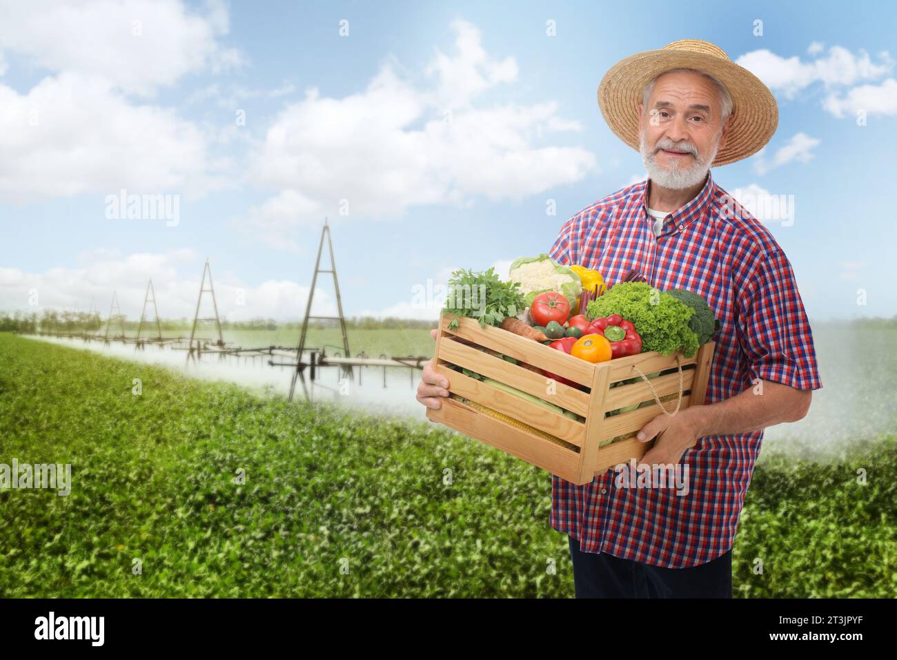 Harvesting season. Farmer holding wooden crate with crop in field Stock ...