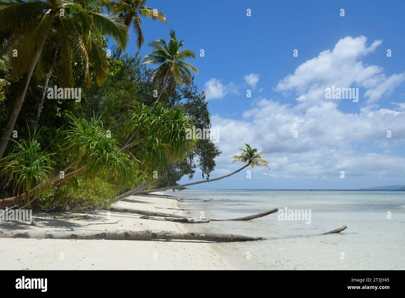 Tropical beach at the island Kri at the Raja Ampat archipelago (Indonesia) Stock Photo