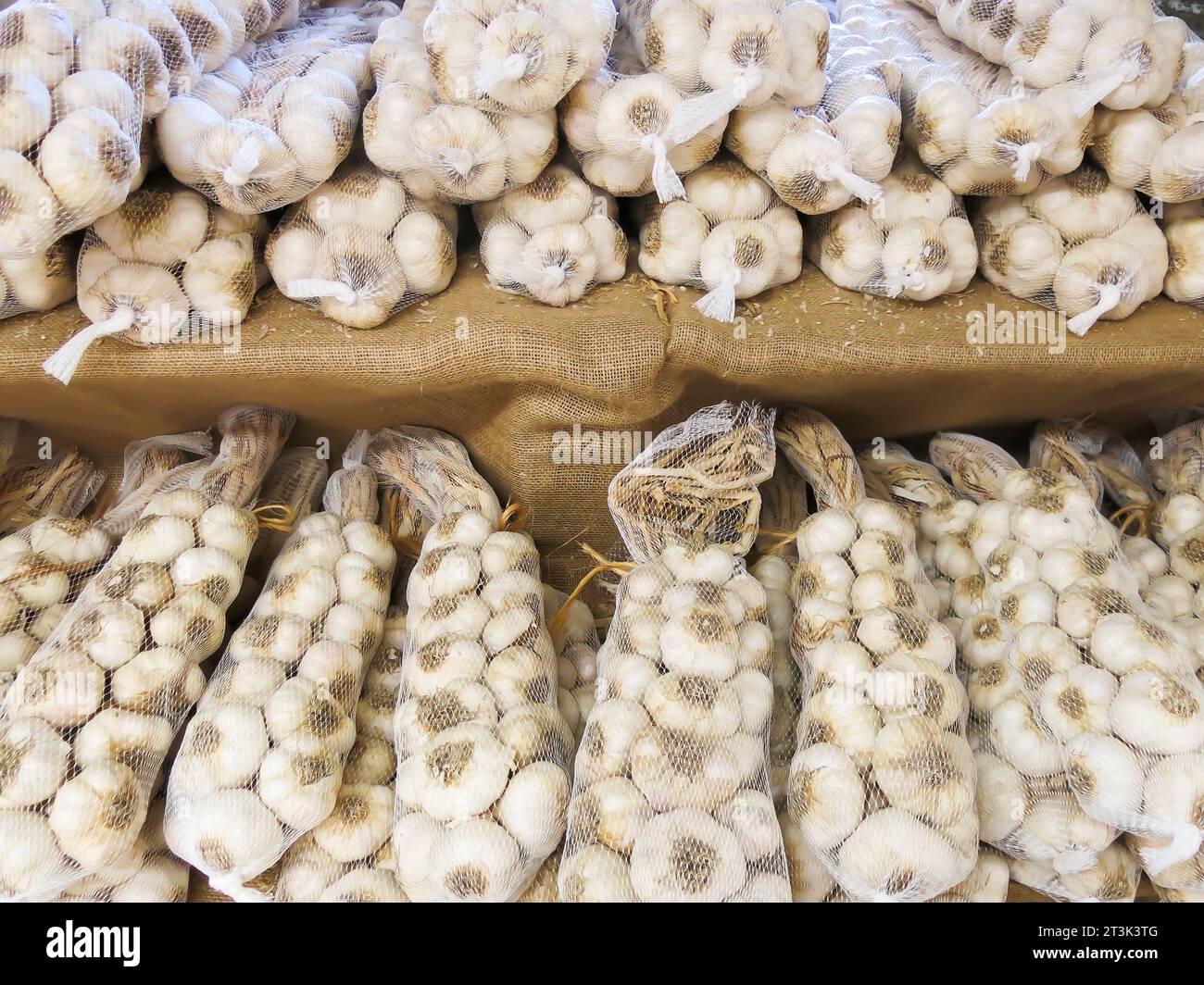 Garlic Braids on Sale Stock Photo - Alamy