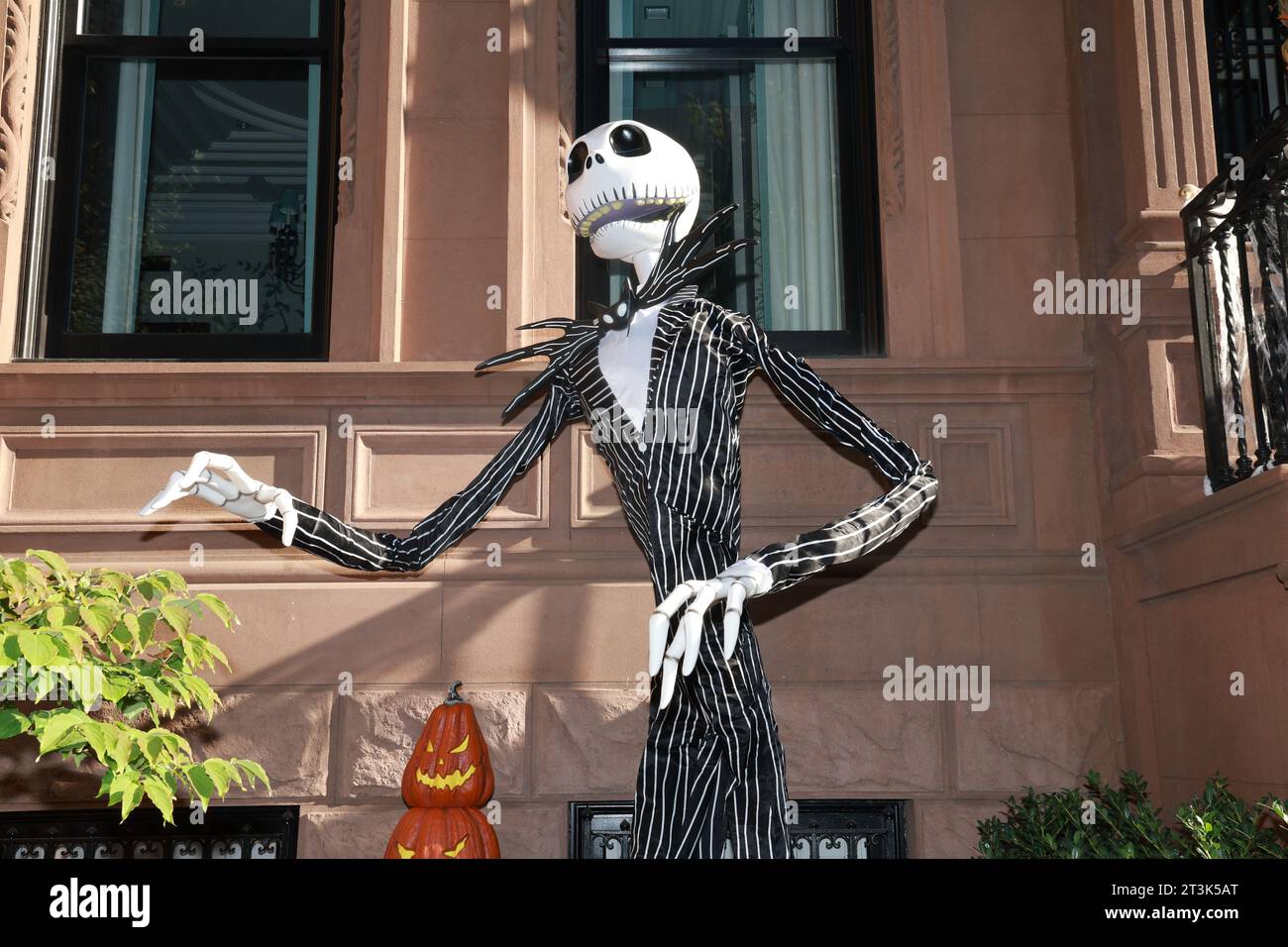 Pumpkins fence nightmare before christmas