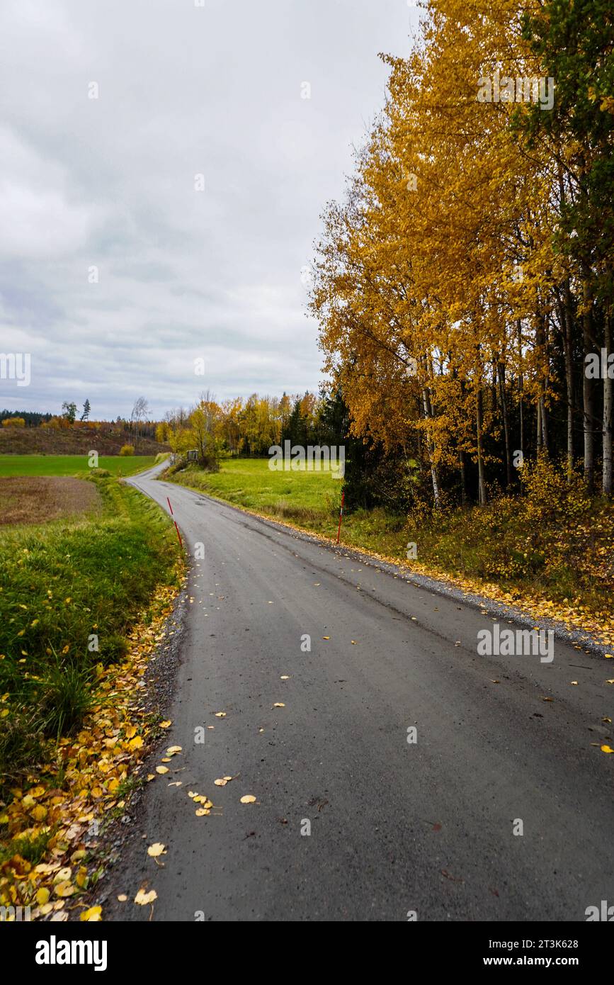 Empty road against countryside hi-res stock photography and images - Alamy